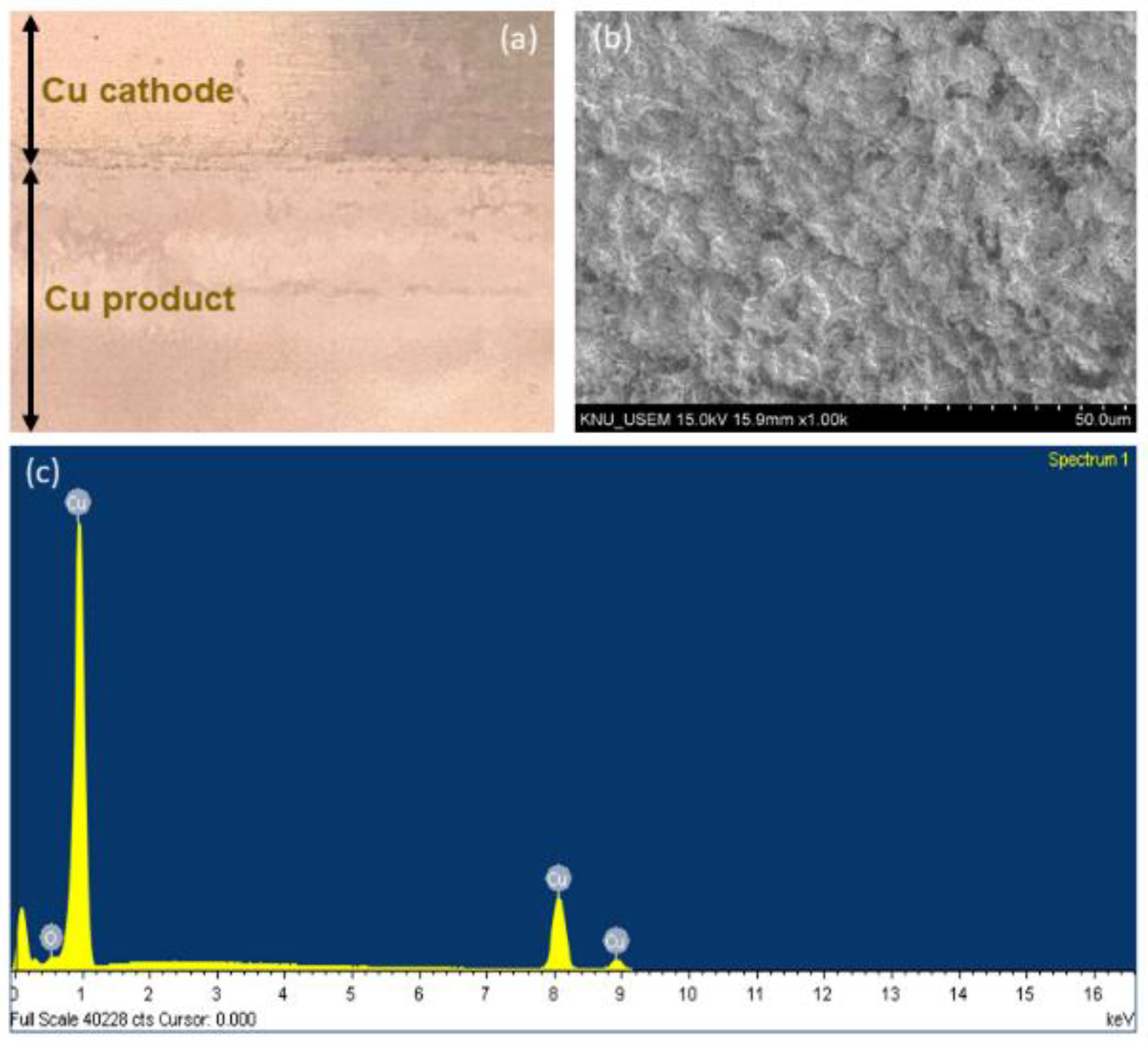 Metals 11 00022 g010