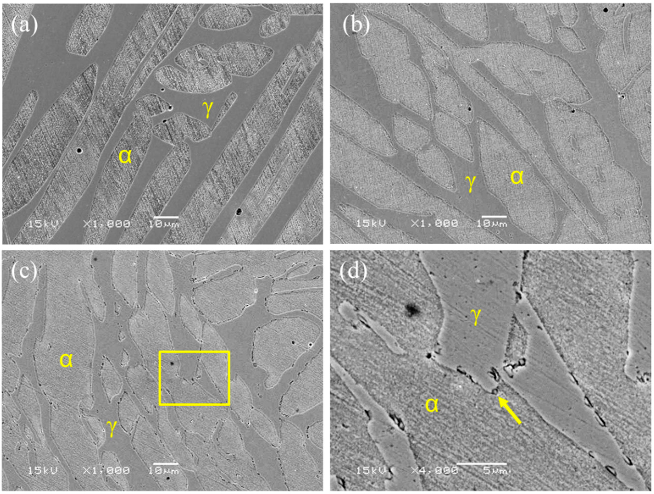 Metals 11 00023 g001