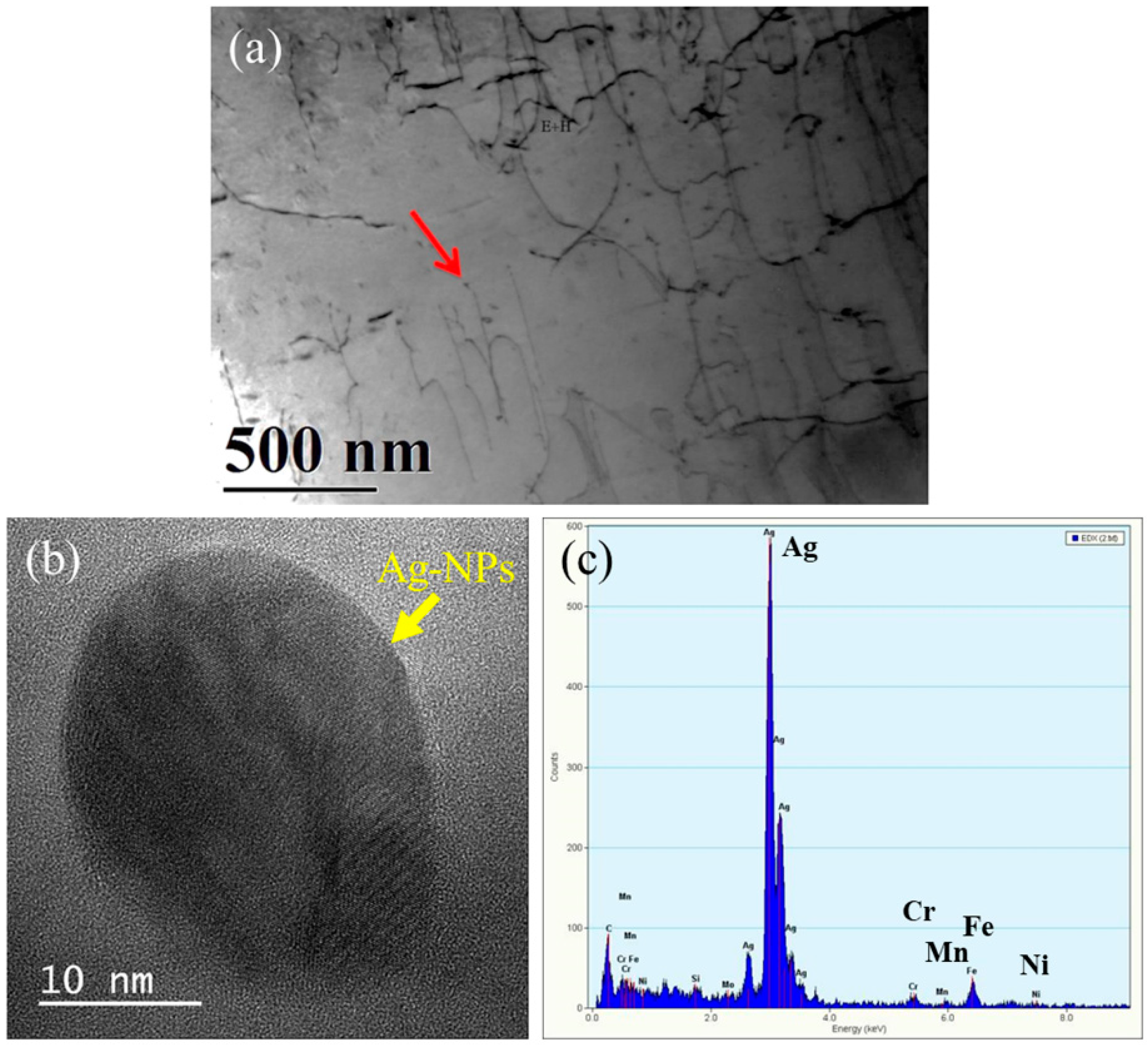 Metals 11 00023 g003