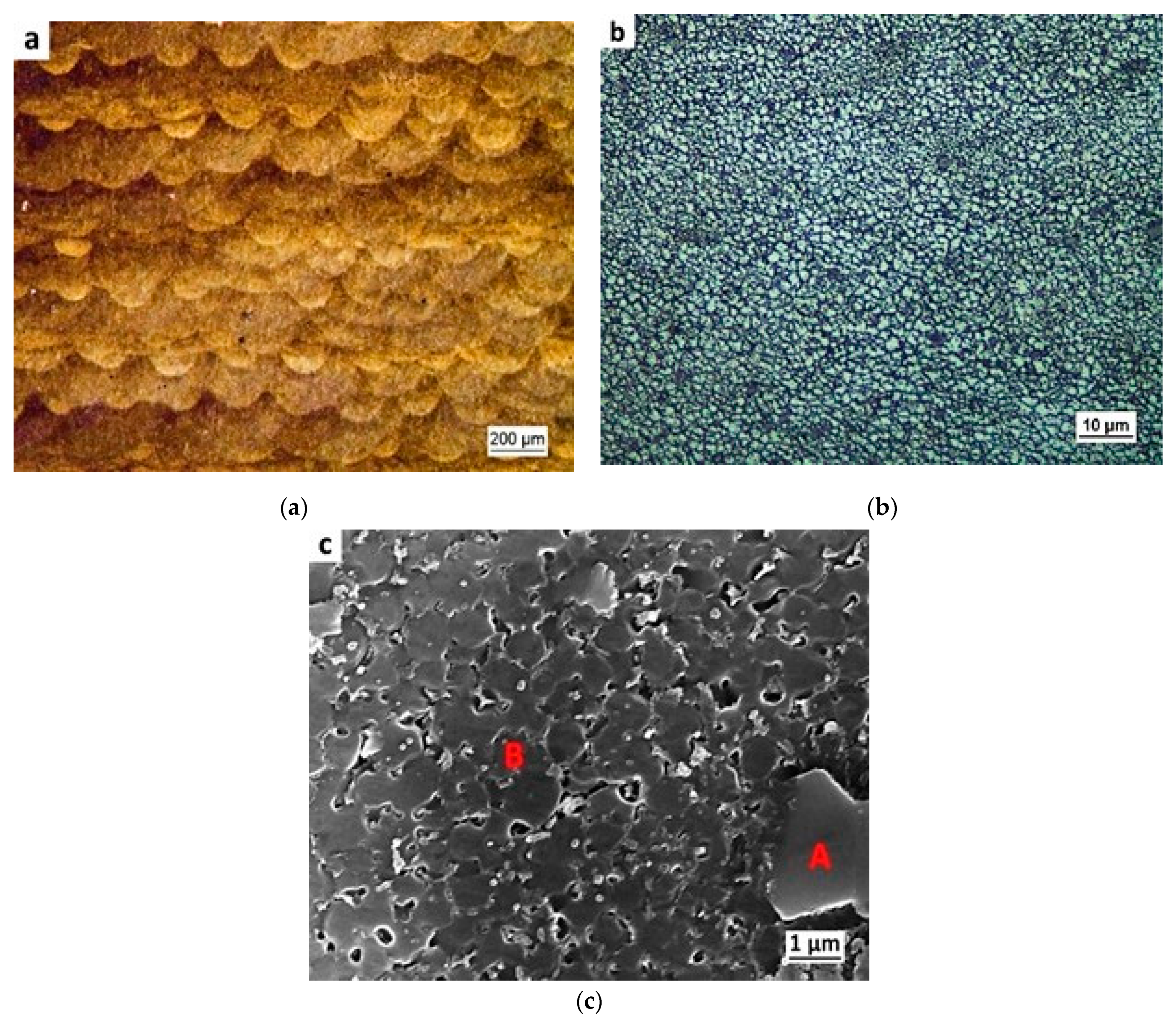 Metals 11 00035 g002