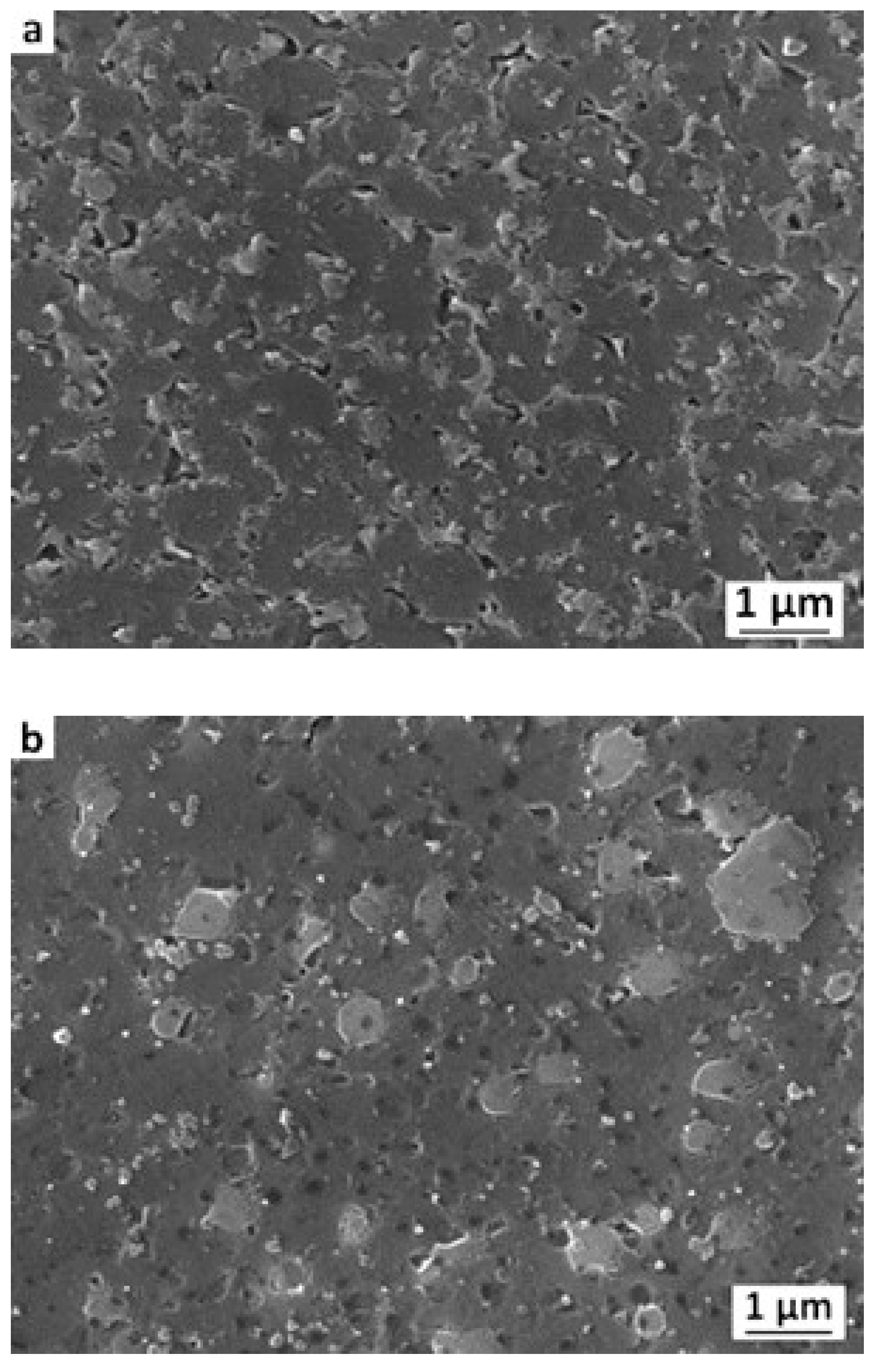 Metals 11 00035 g007