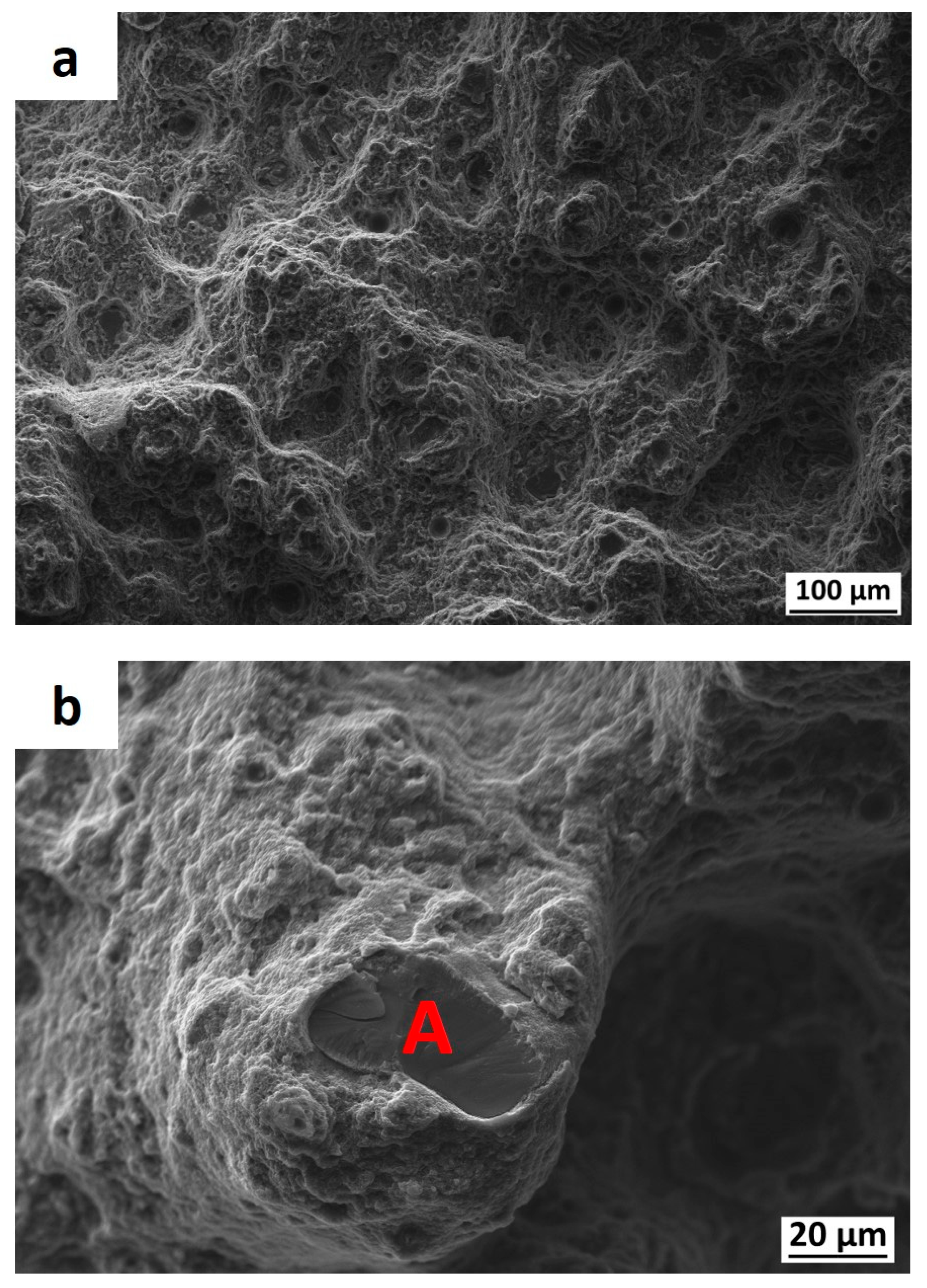Metals 11 00035 g009