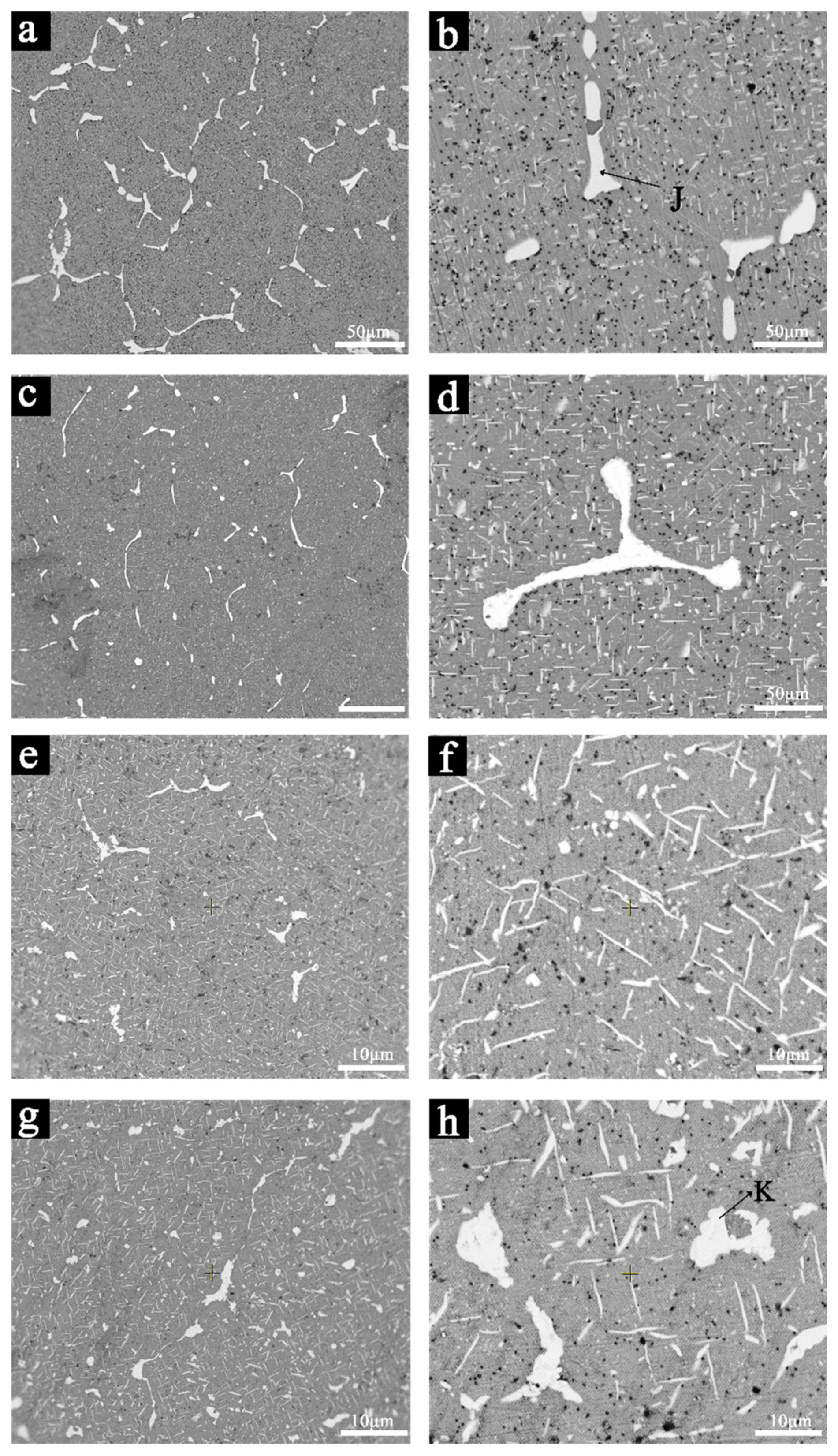 Metals 11 00037 g002