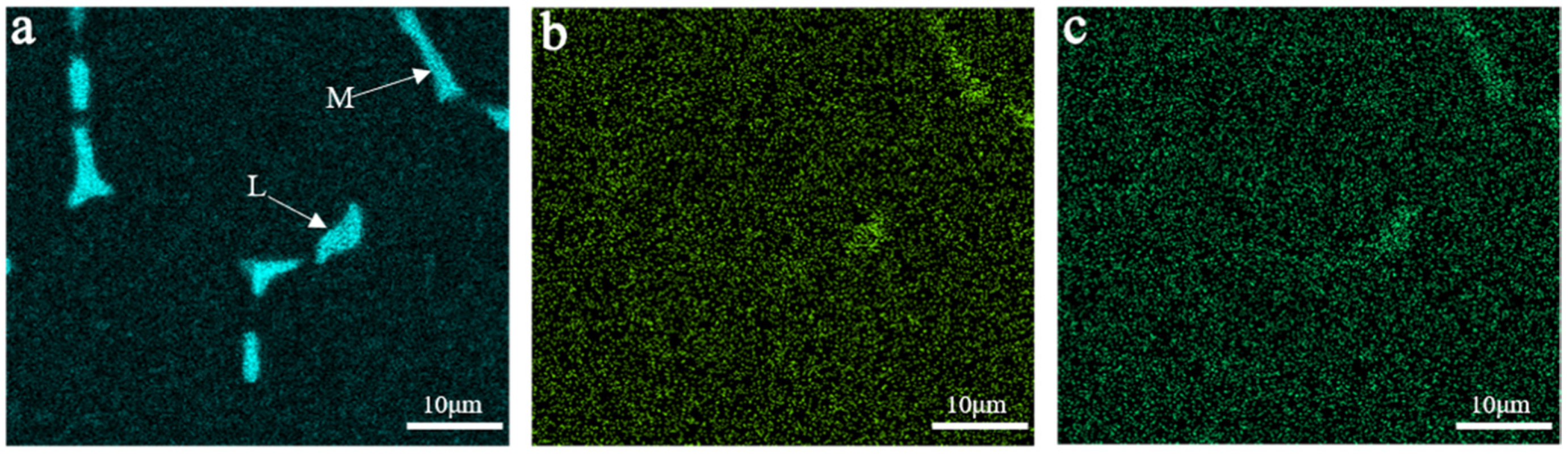 Metals 11 00037 g004