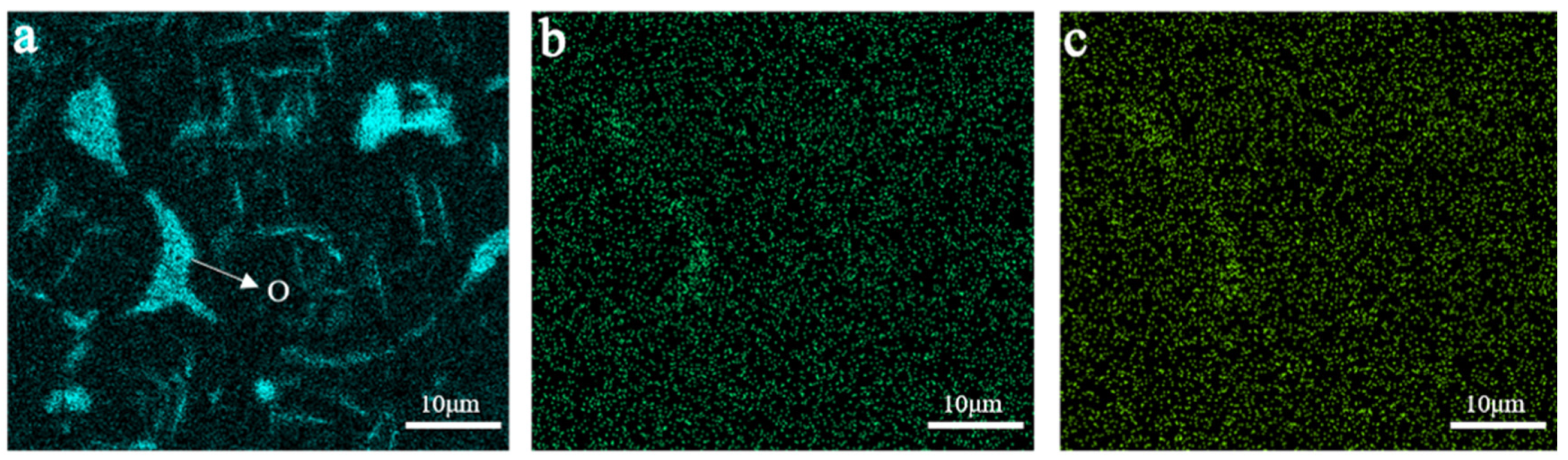 Metals 11 00037 g007