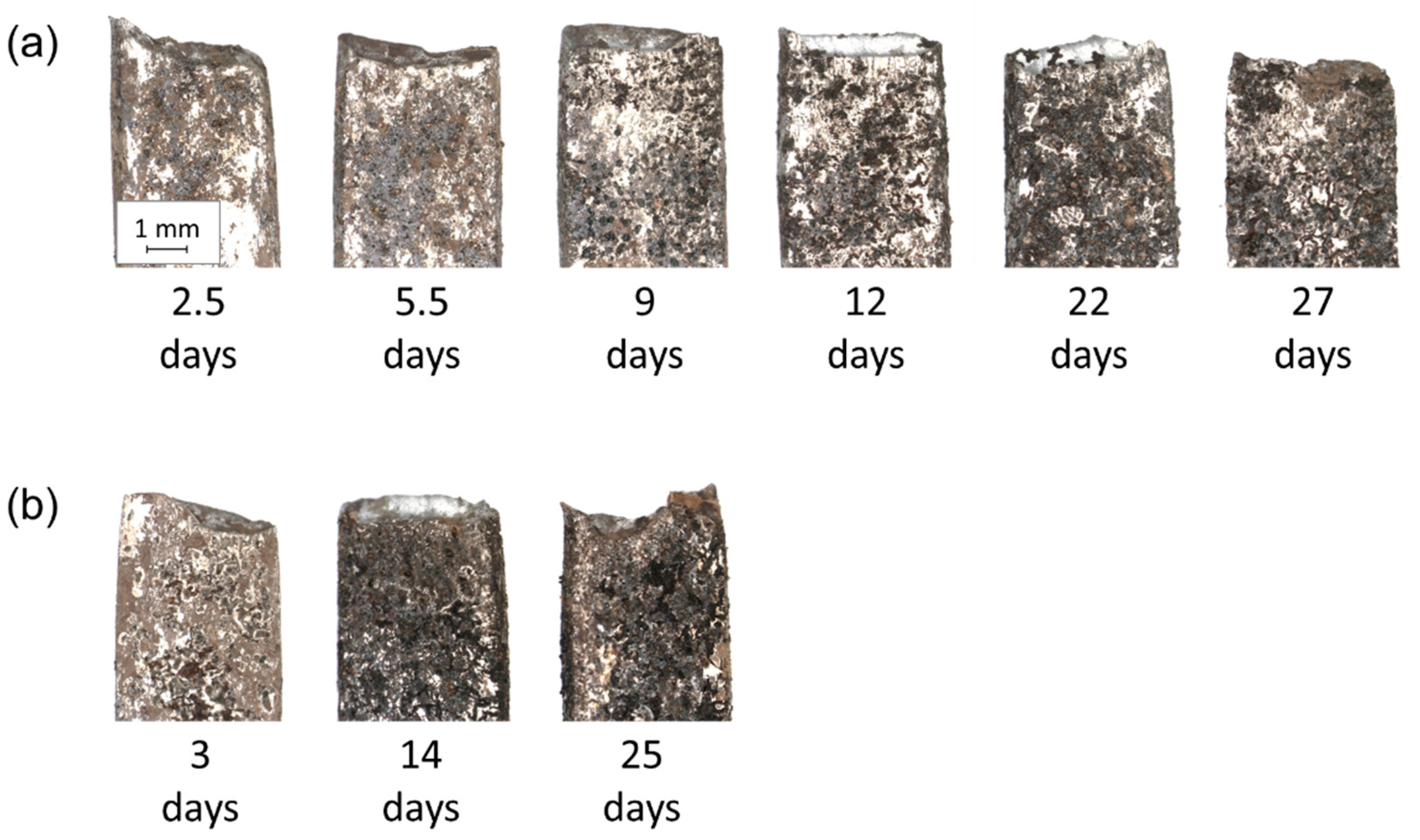 Metals 11 00044 g006