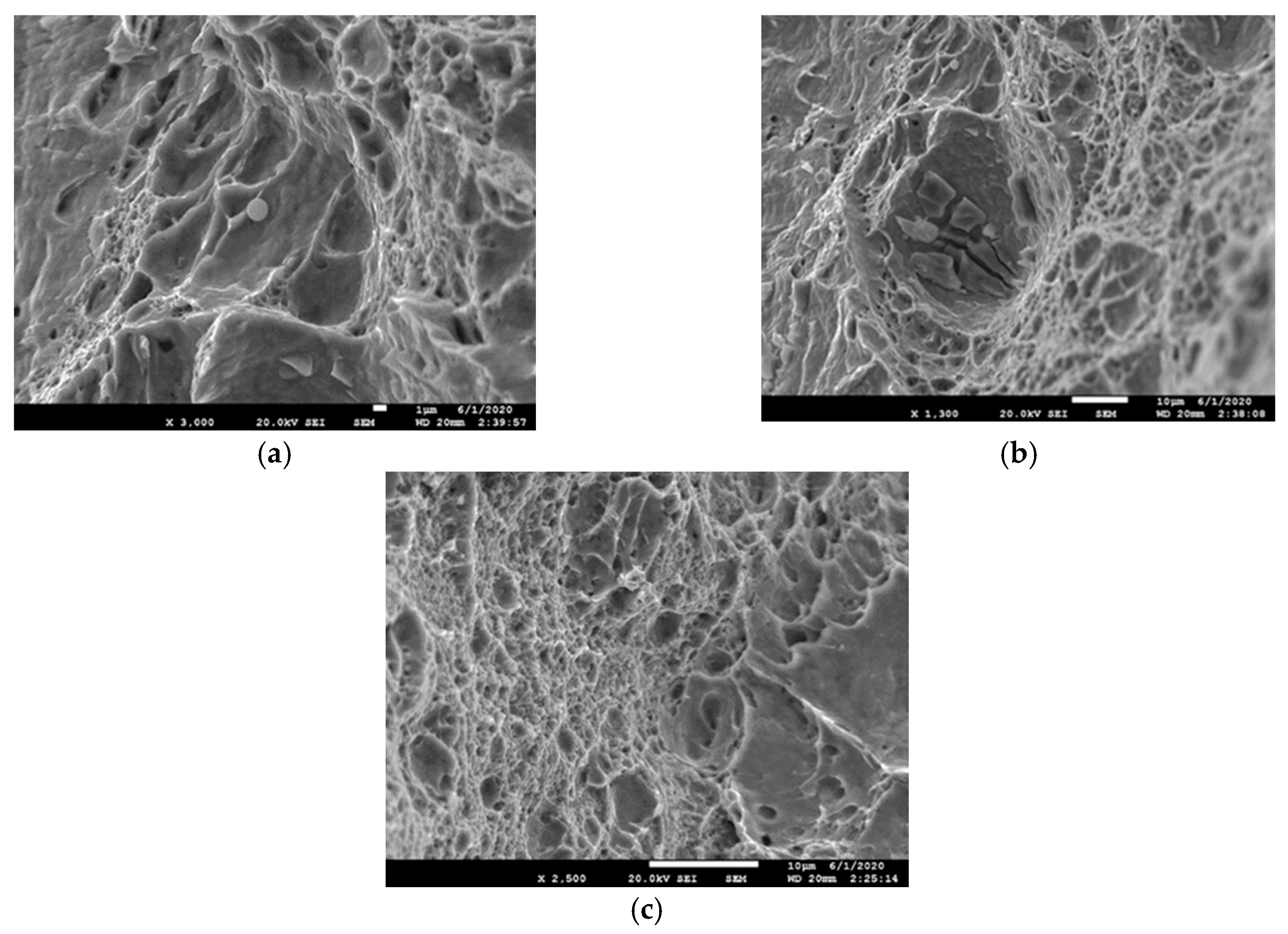 Metals 11 00051 g010