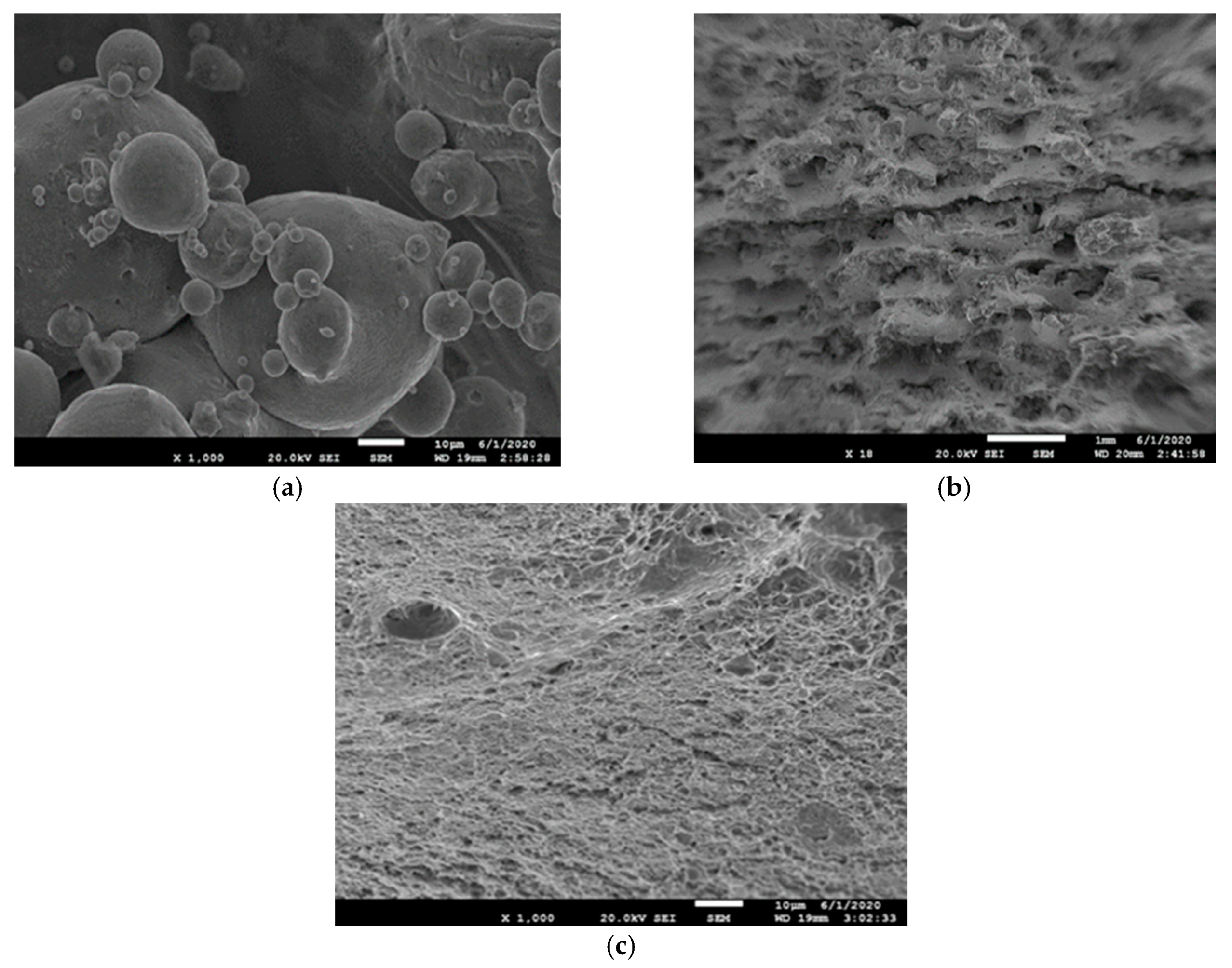 Metals 11 00051 g011