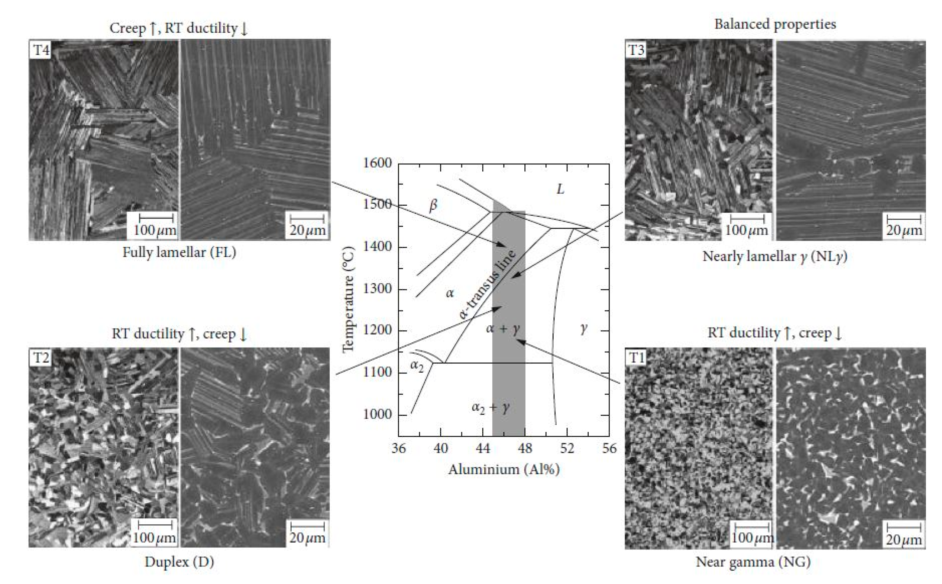 Metals 11 00058 g008