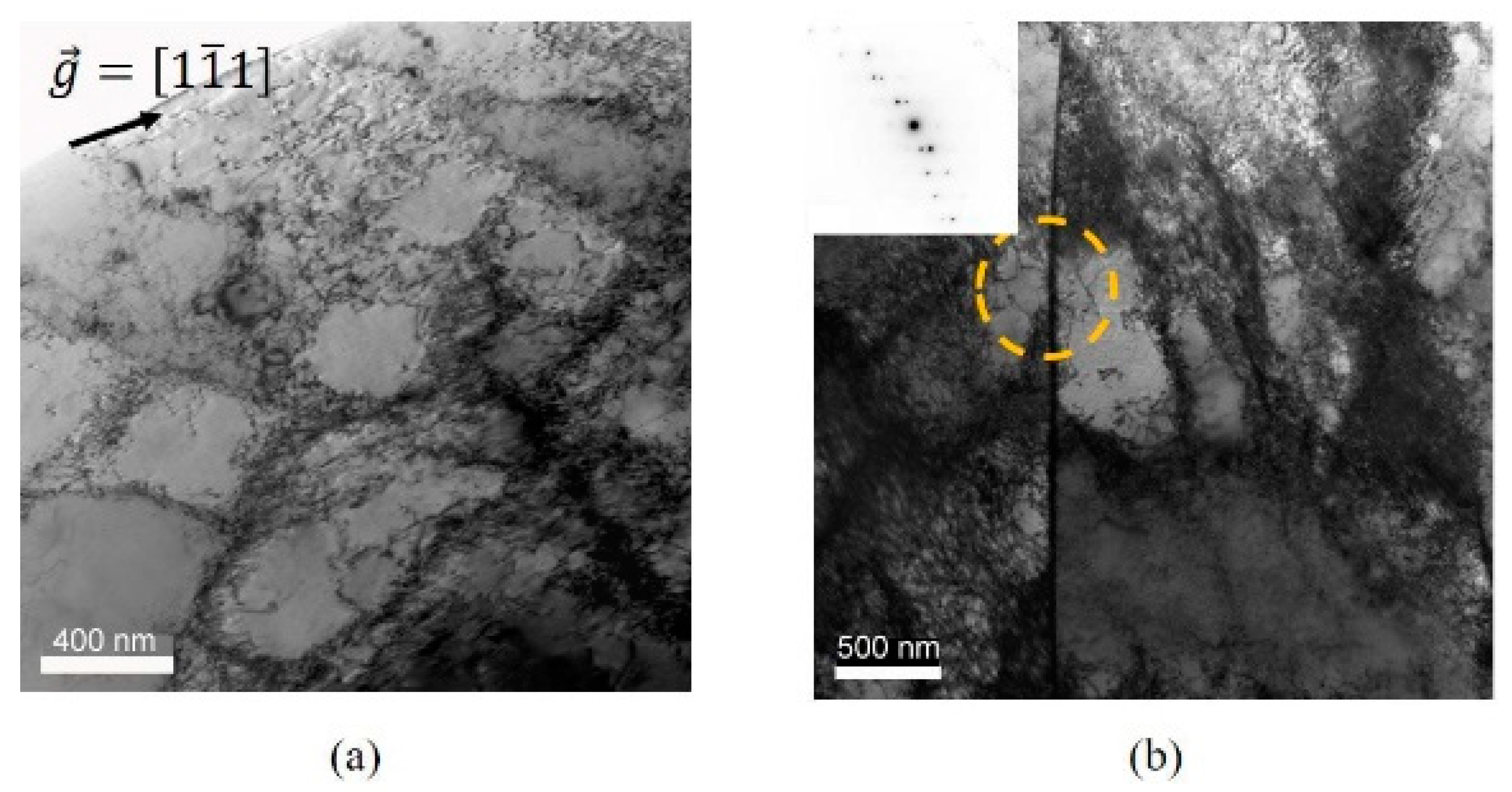 Metals 11 00065 g011