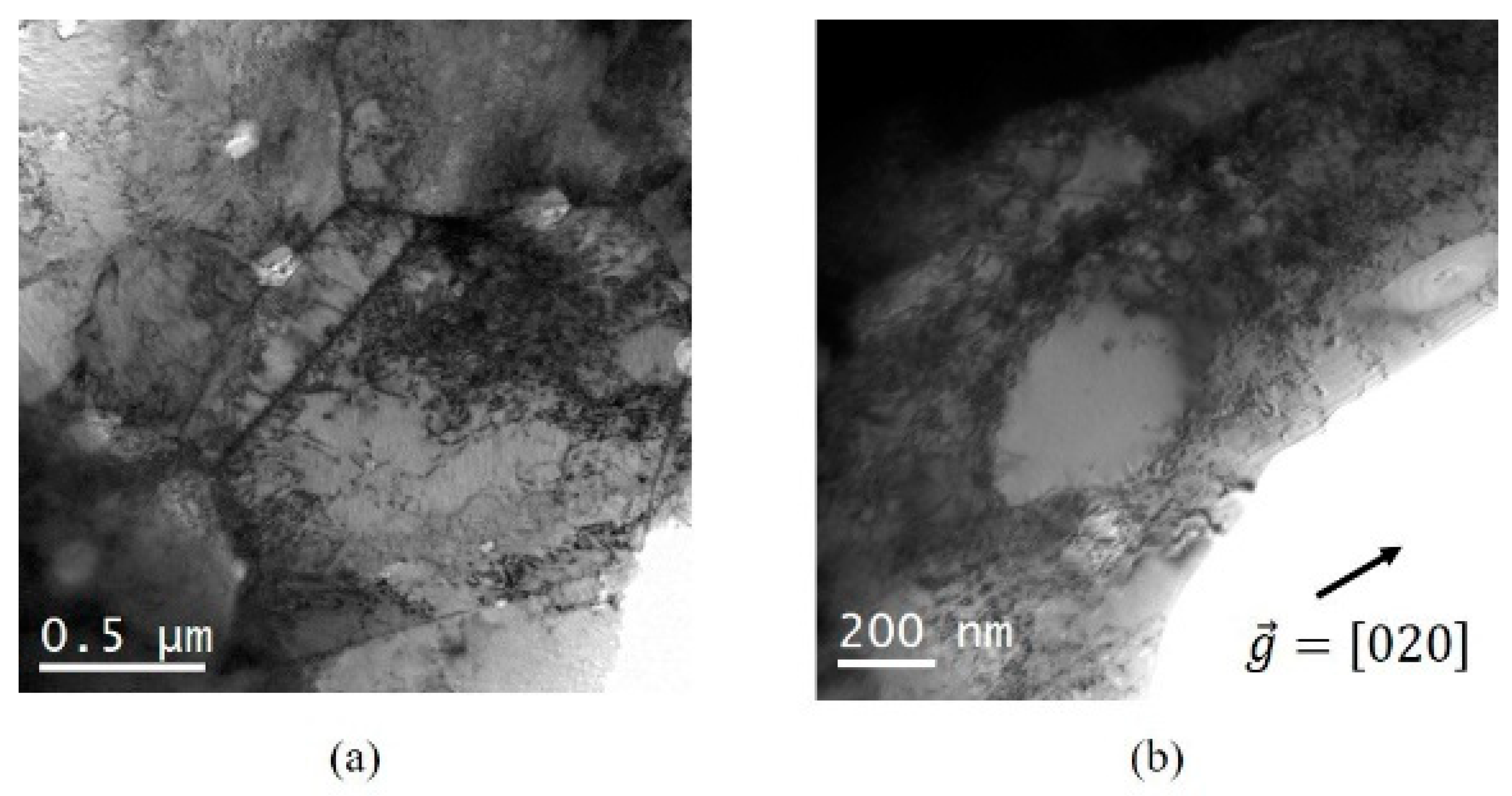 Metals 11 00065 g012