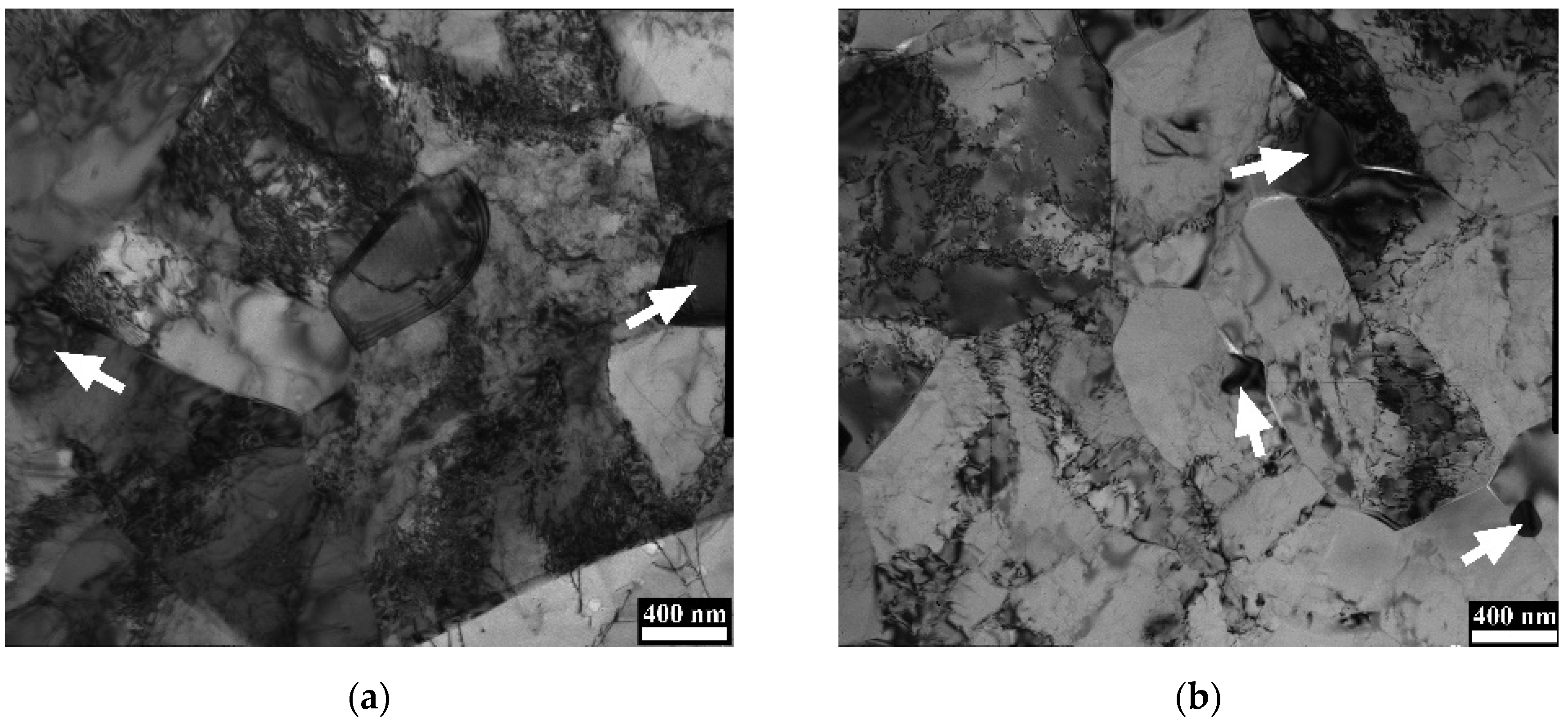 Metals 11 00066 g006a