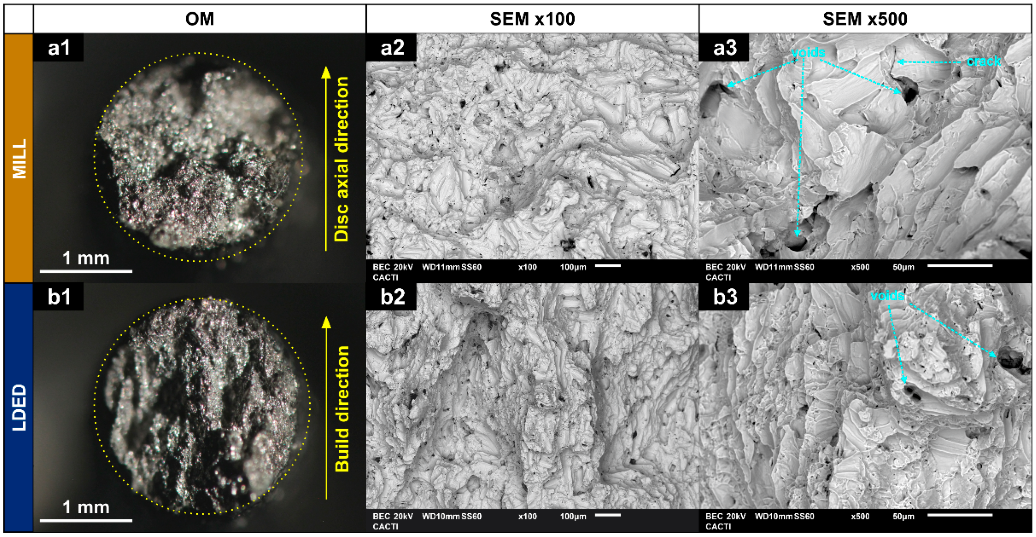 Metals 11 00070 g010