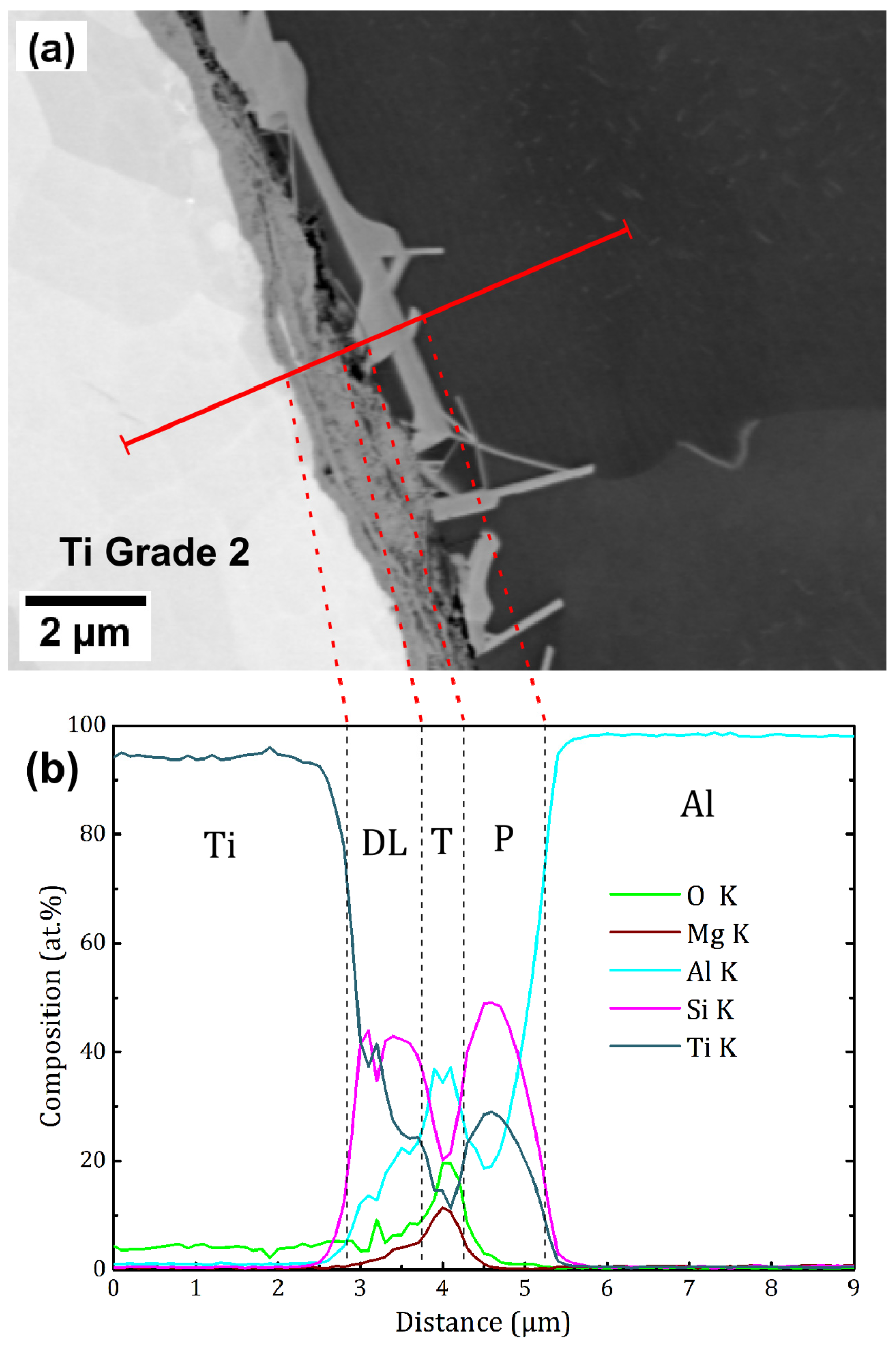 Metals 11 00073 g005
