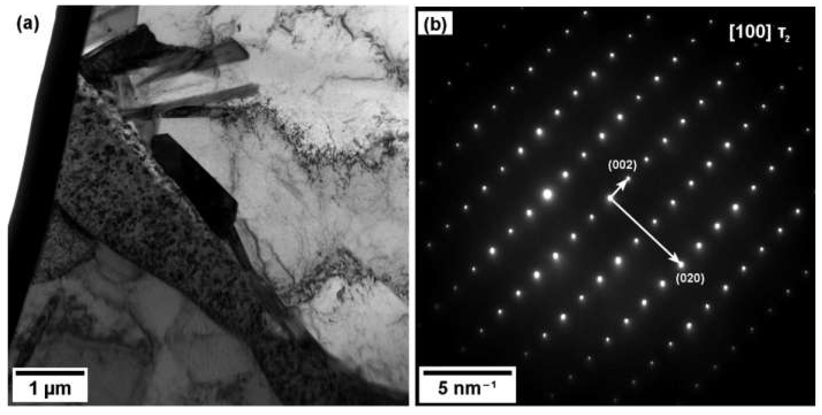 Metals 11 00073 g010