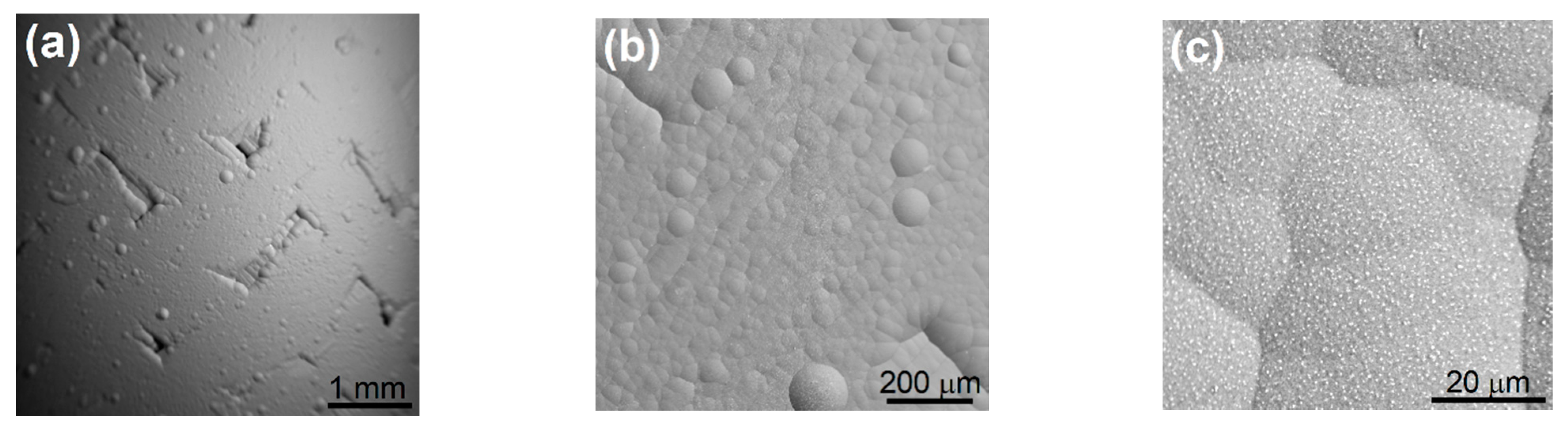 Metals 11 00076 g005