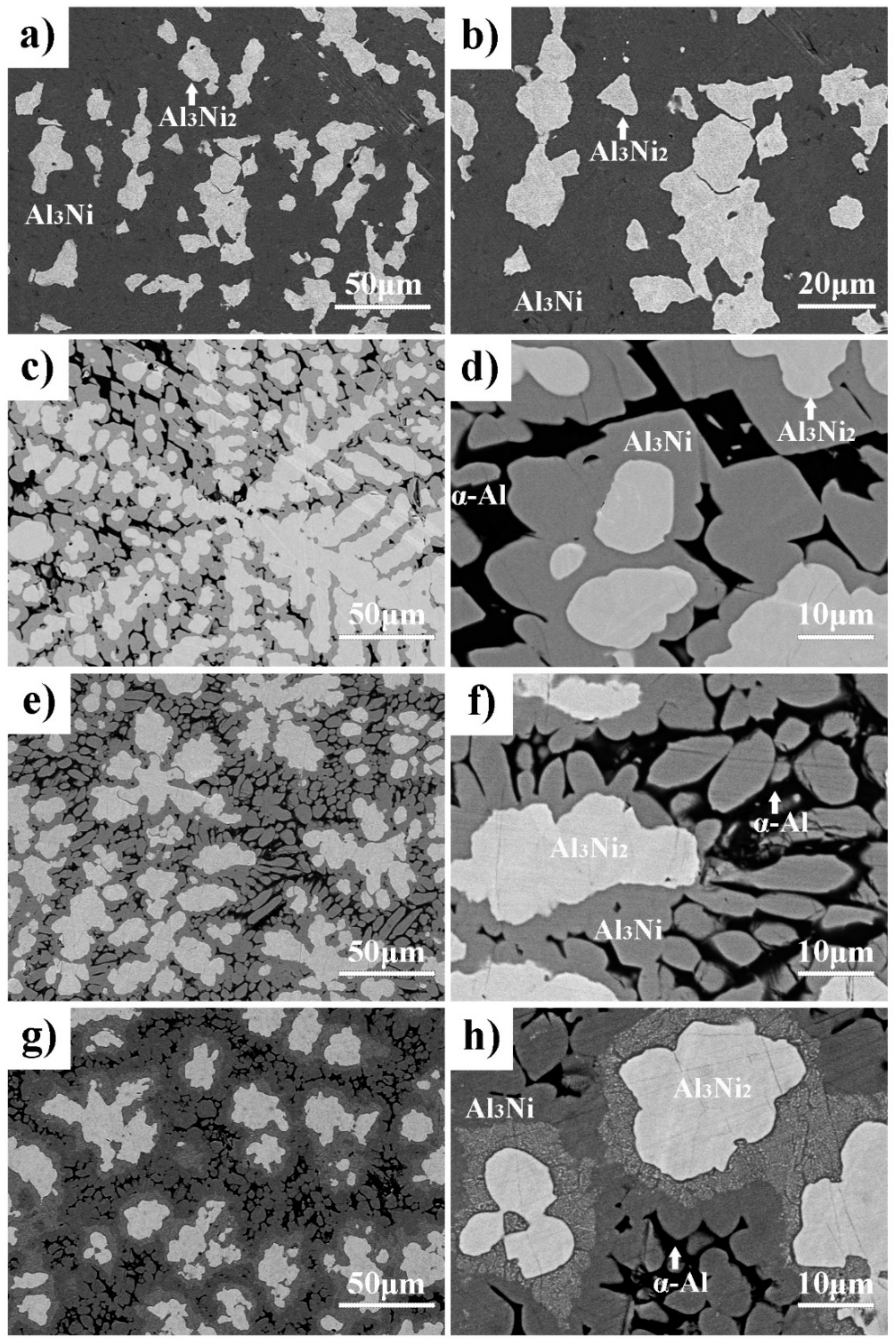 Metals 11 00084 g003