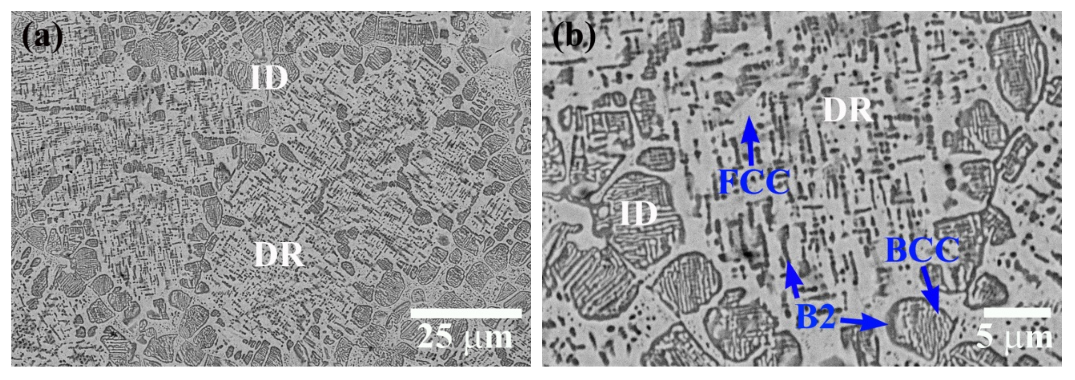 Metals 11 00091 g003