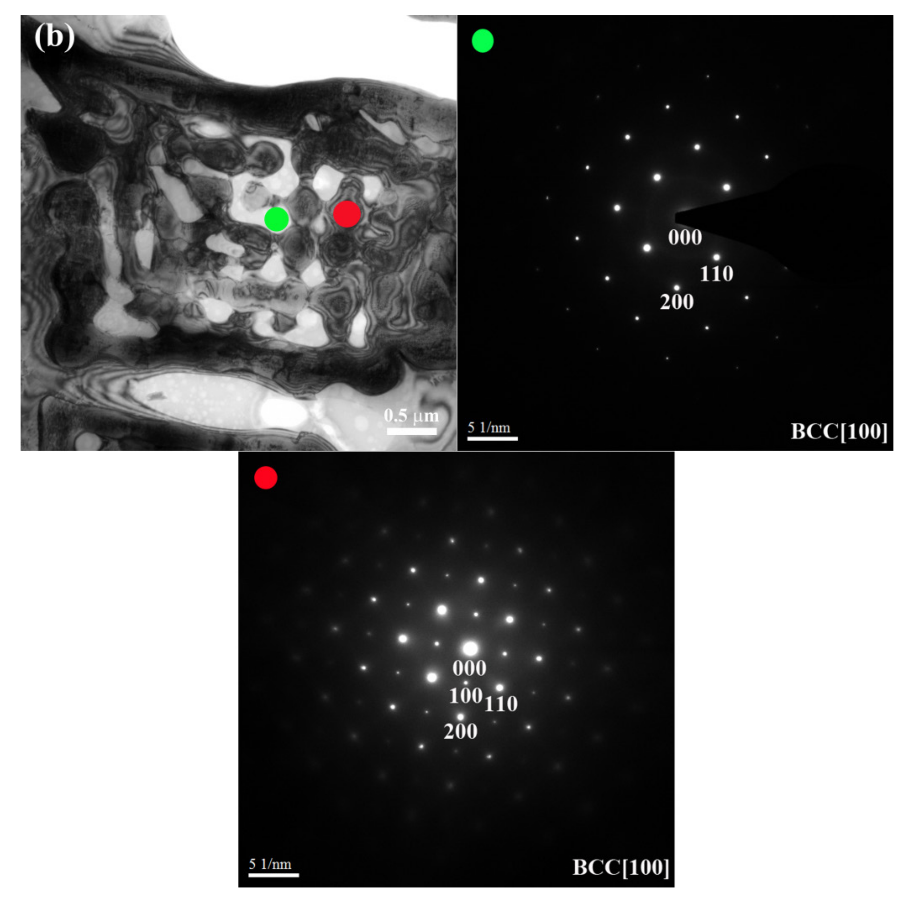 Metals 11 00091 g004b