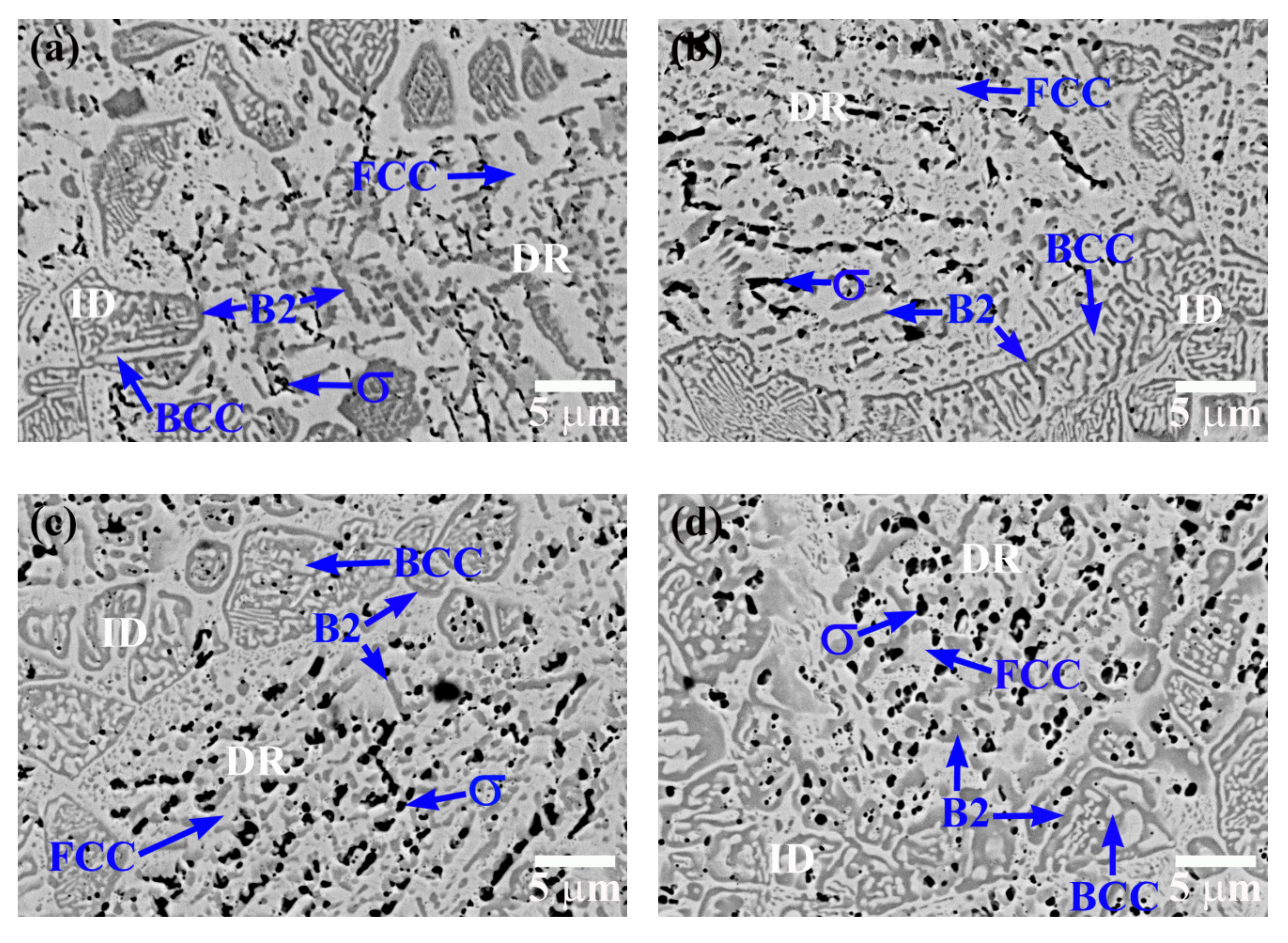 Metals 11 00091 g005a