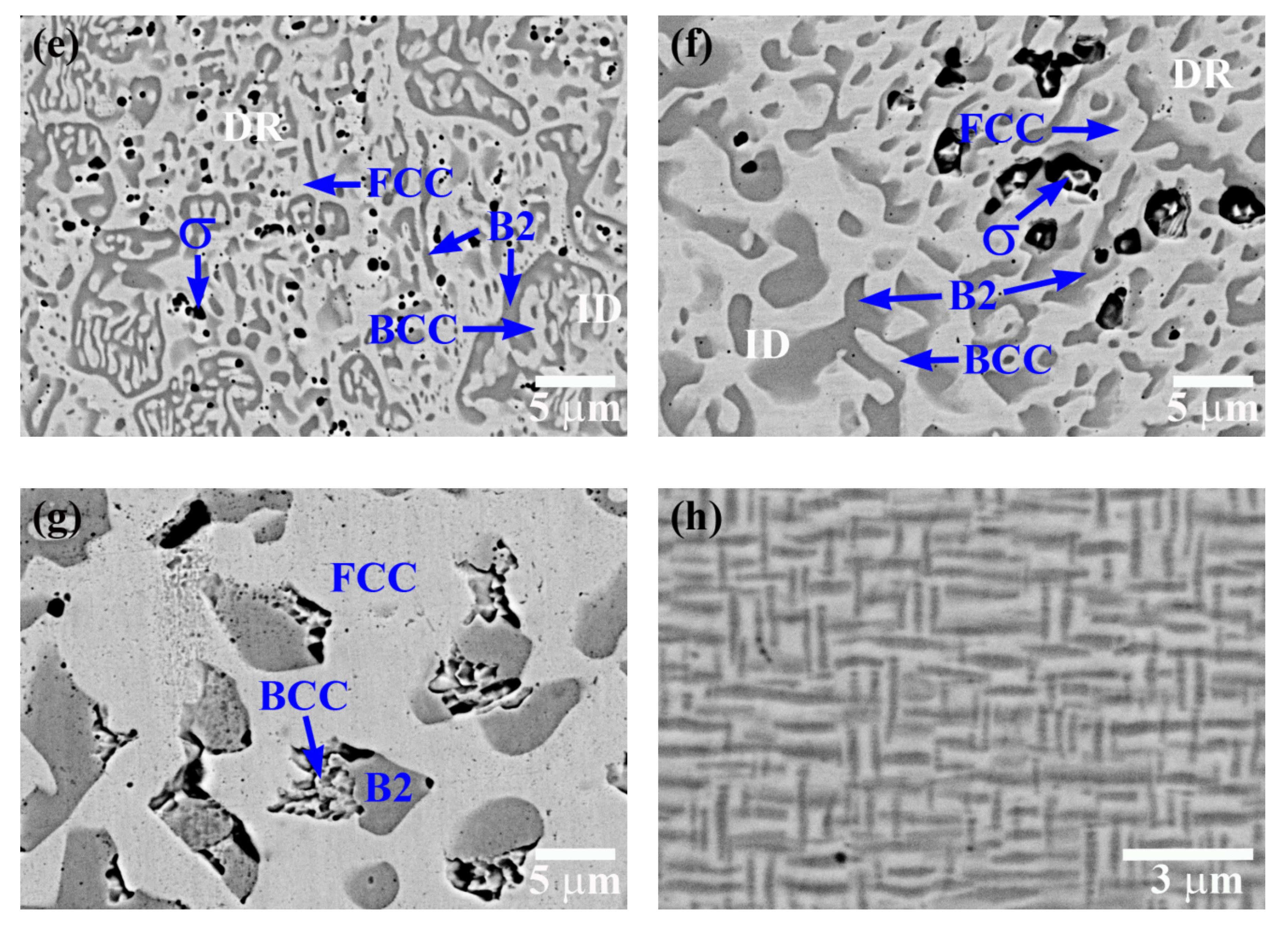 Metals 11 00091 g005b
