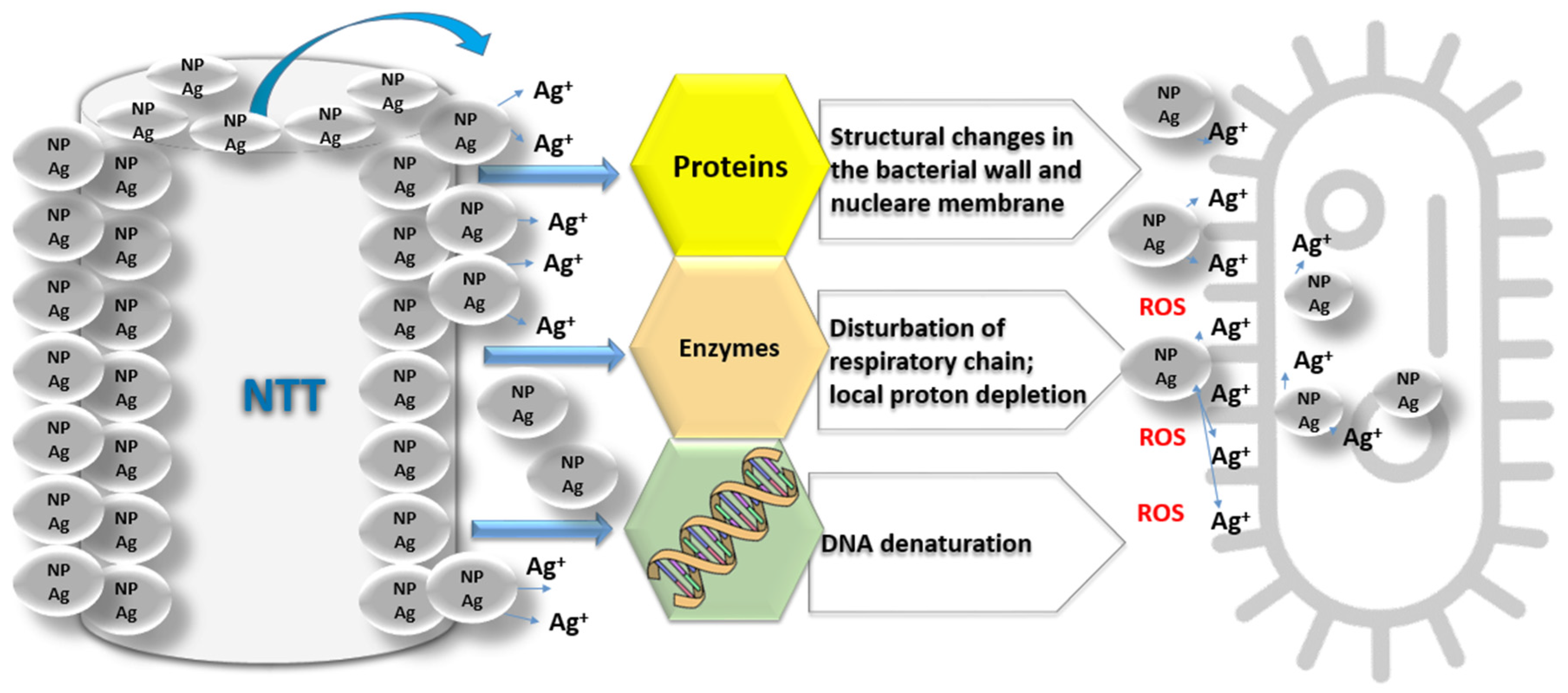 Metals 11 00092 g001