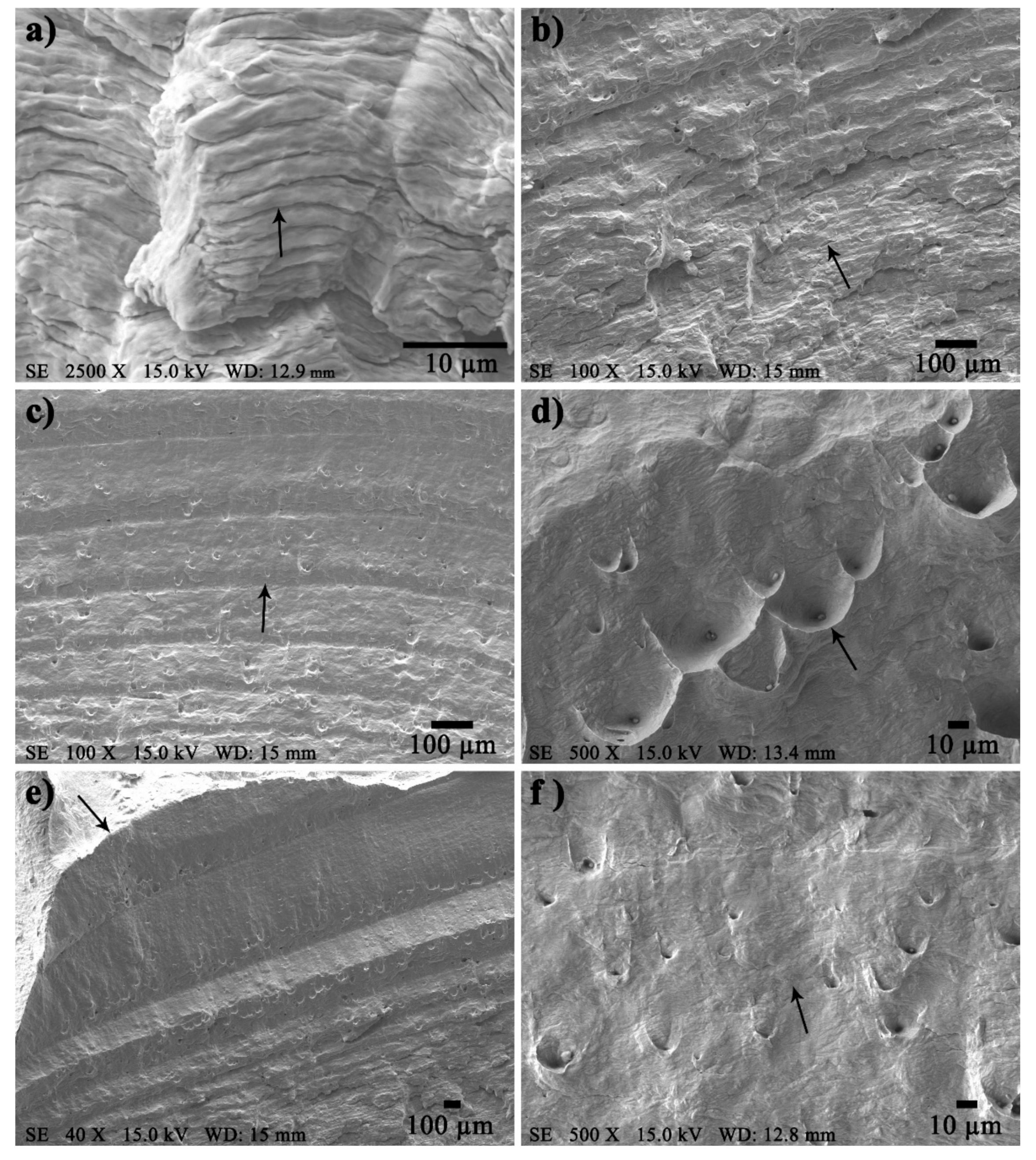 Metals 11 00093 g012