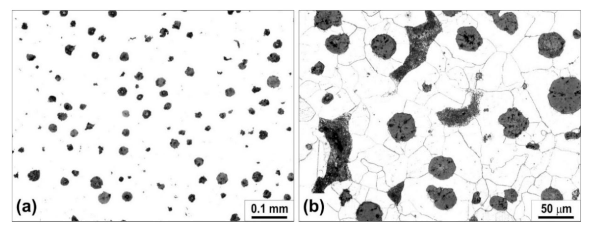 Metals 11 00094 g001