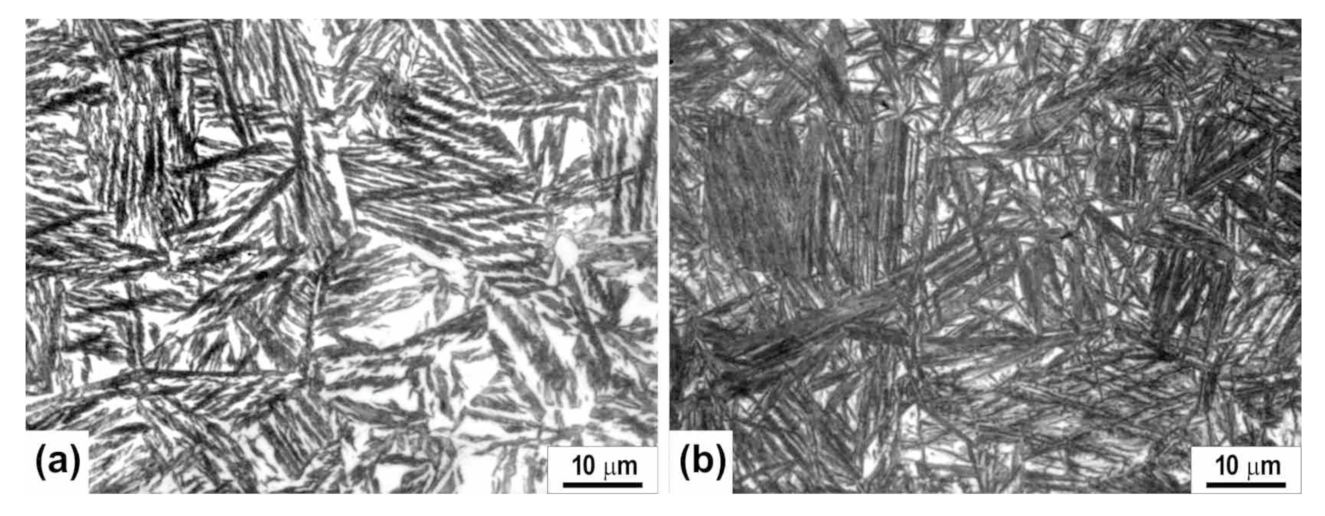 Metals 11 00094 g002