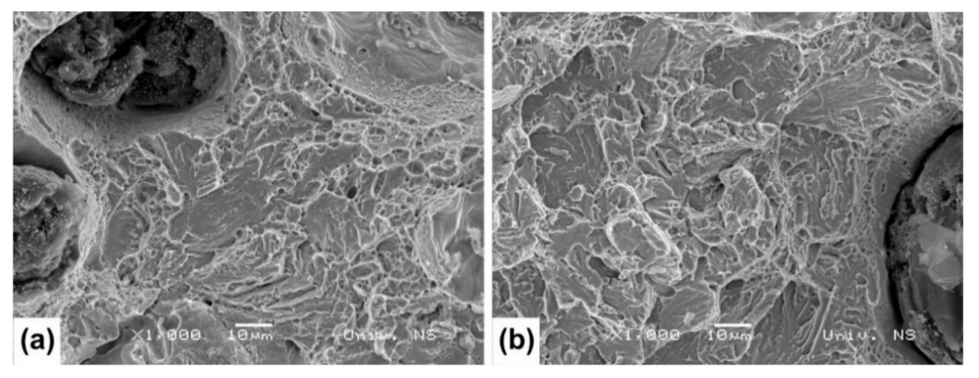 Metals 11 00094 g009