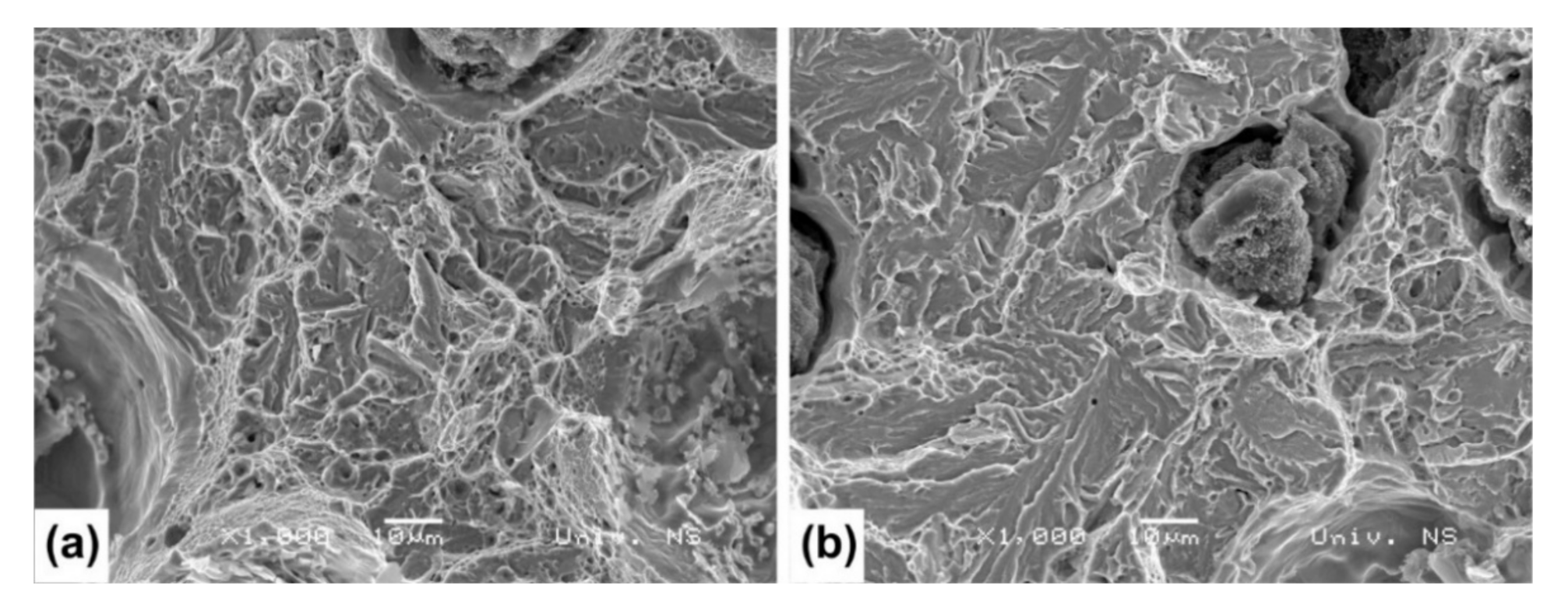 Metals 11 00094 g010