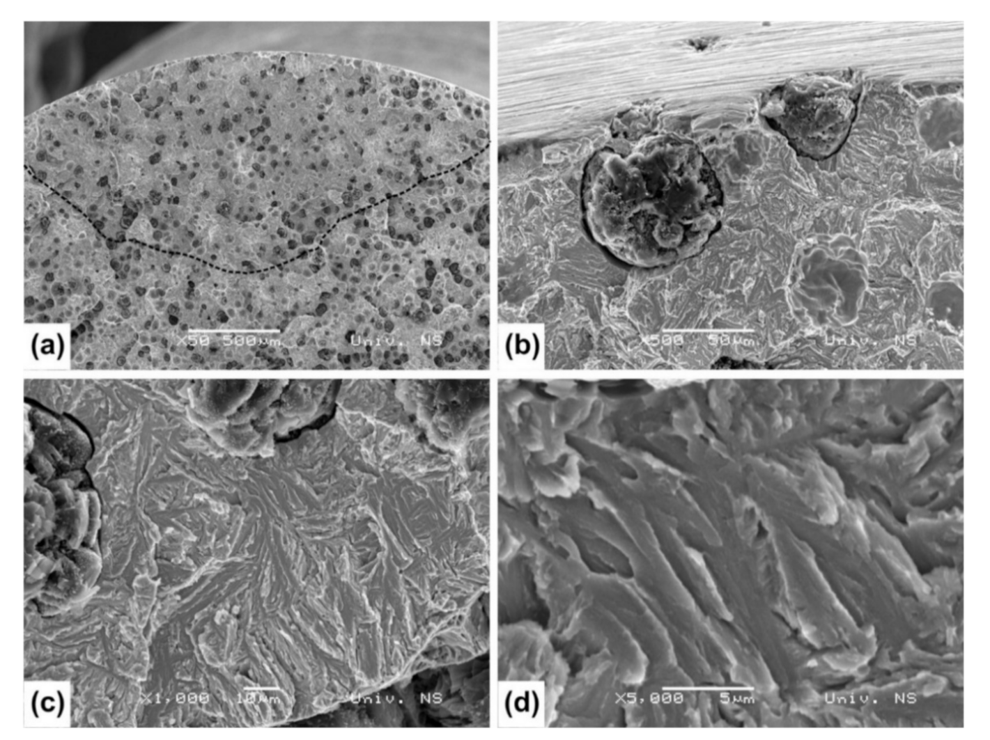 Metals 11 00094 g011