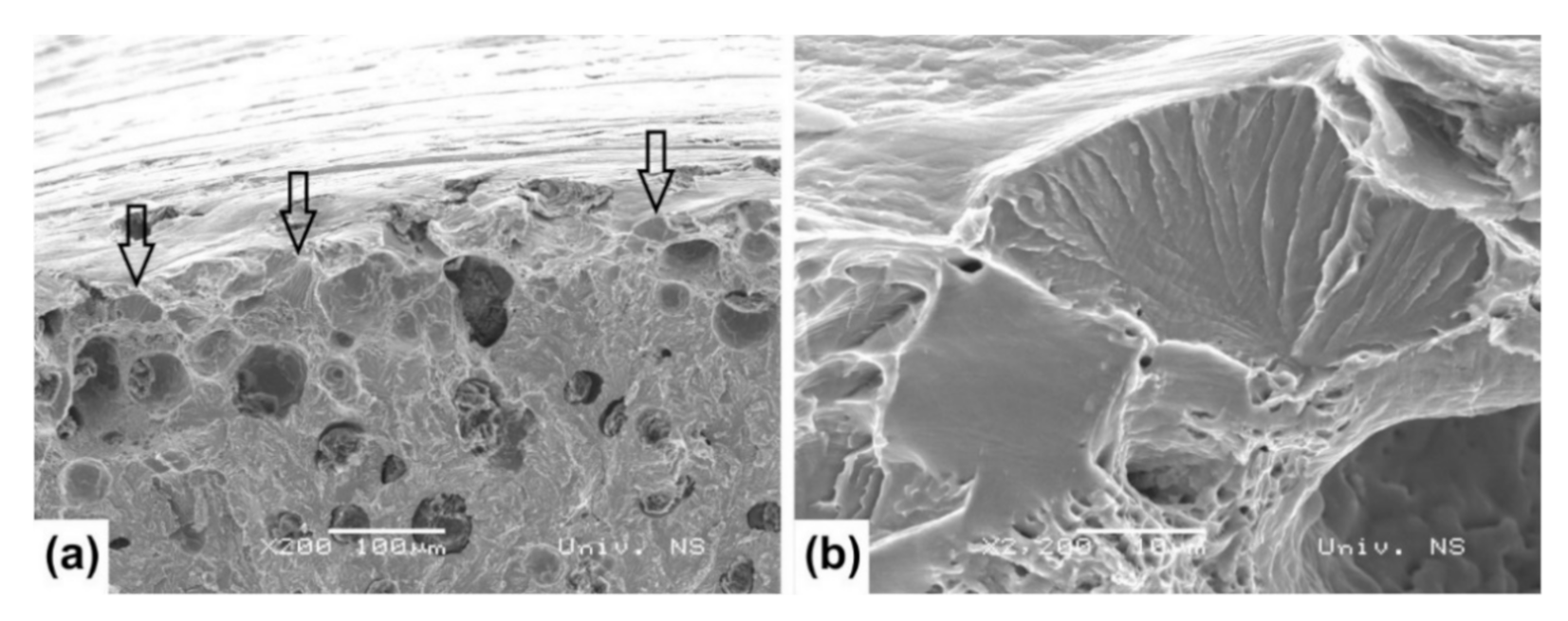 Metals 11 00094 g014