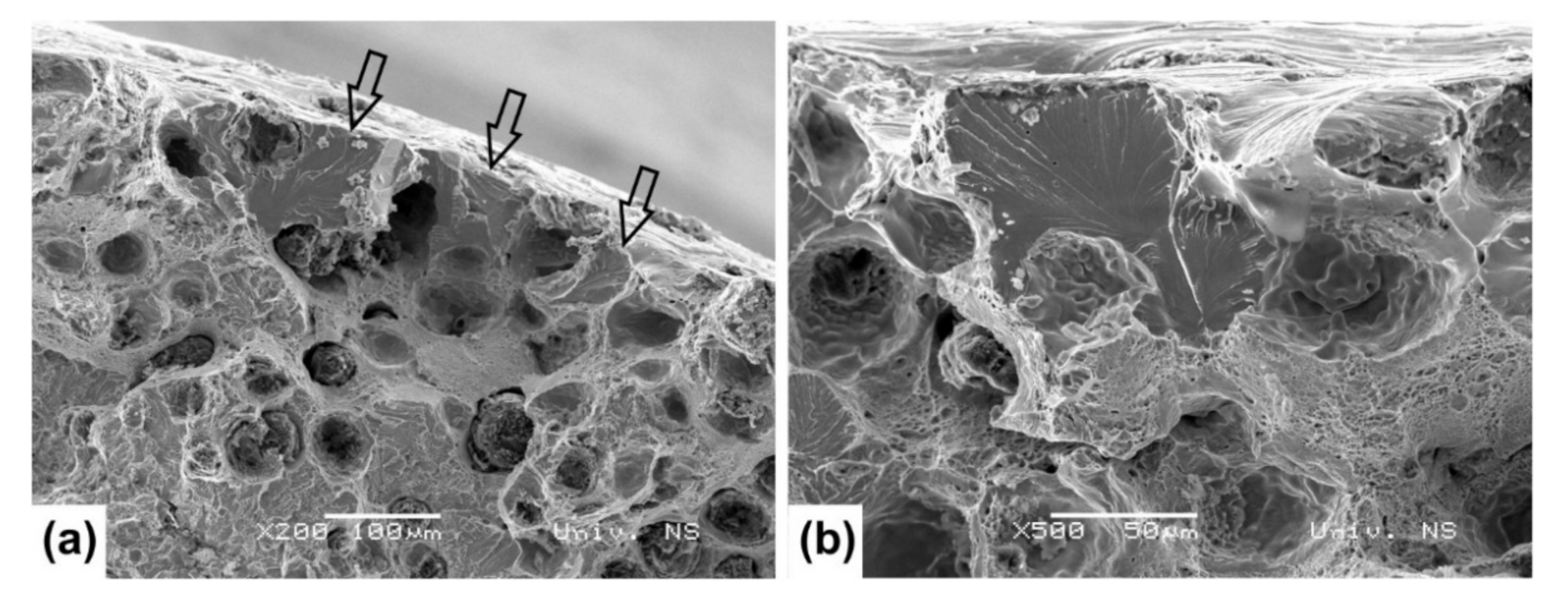 Metals 11 00094 g016