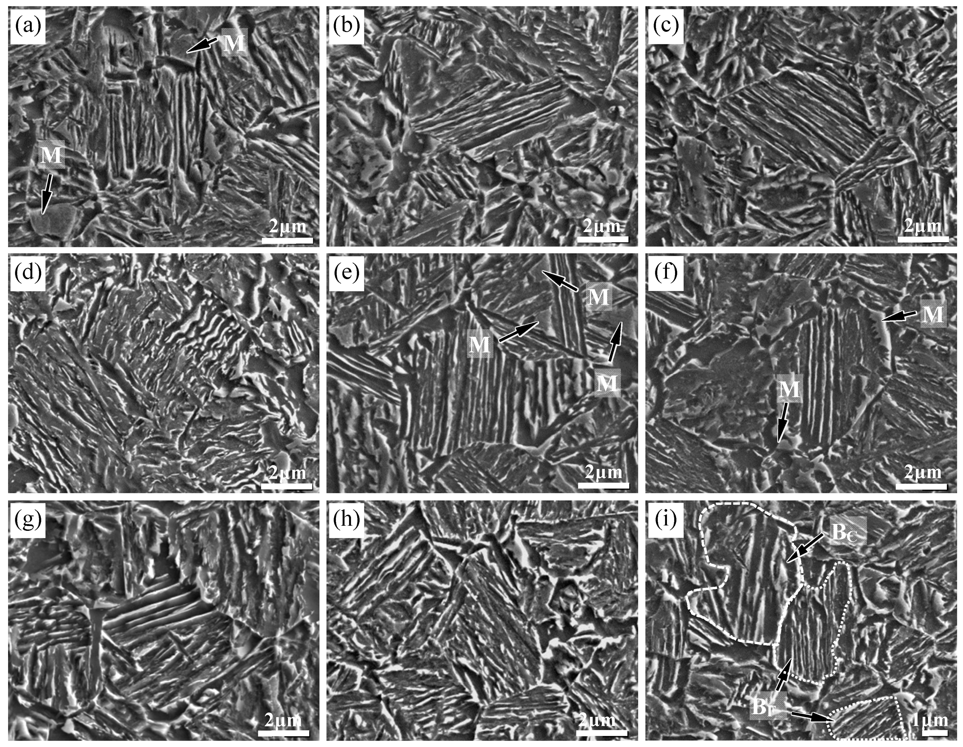 Metals 11 00096 g002