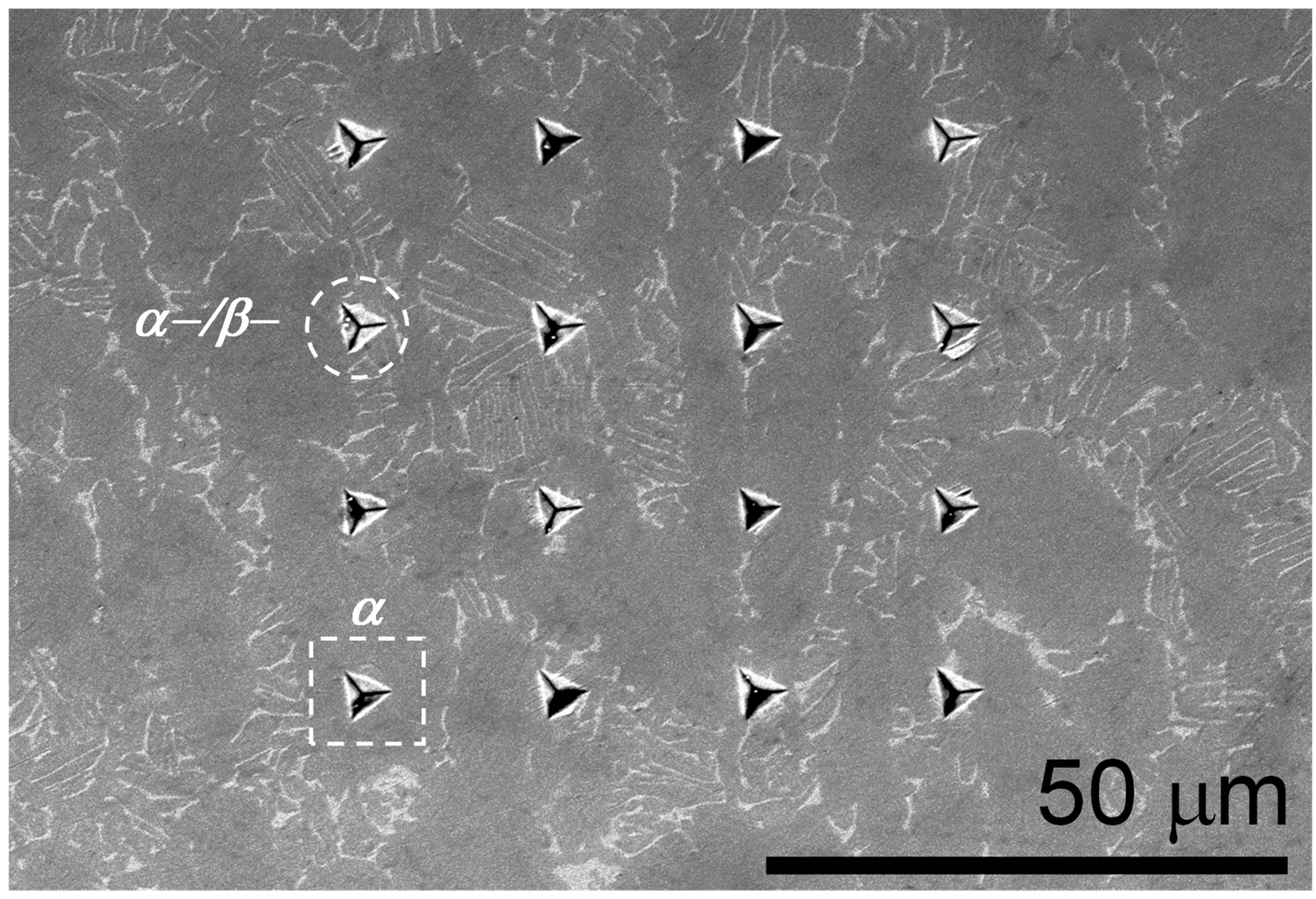 Metals 11 00104 g009