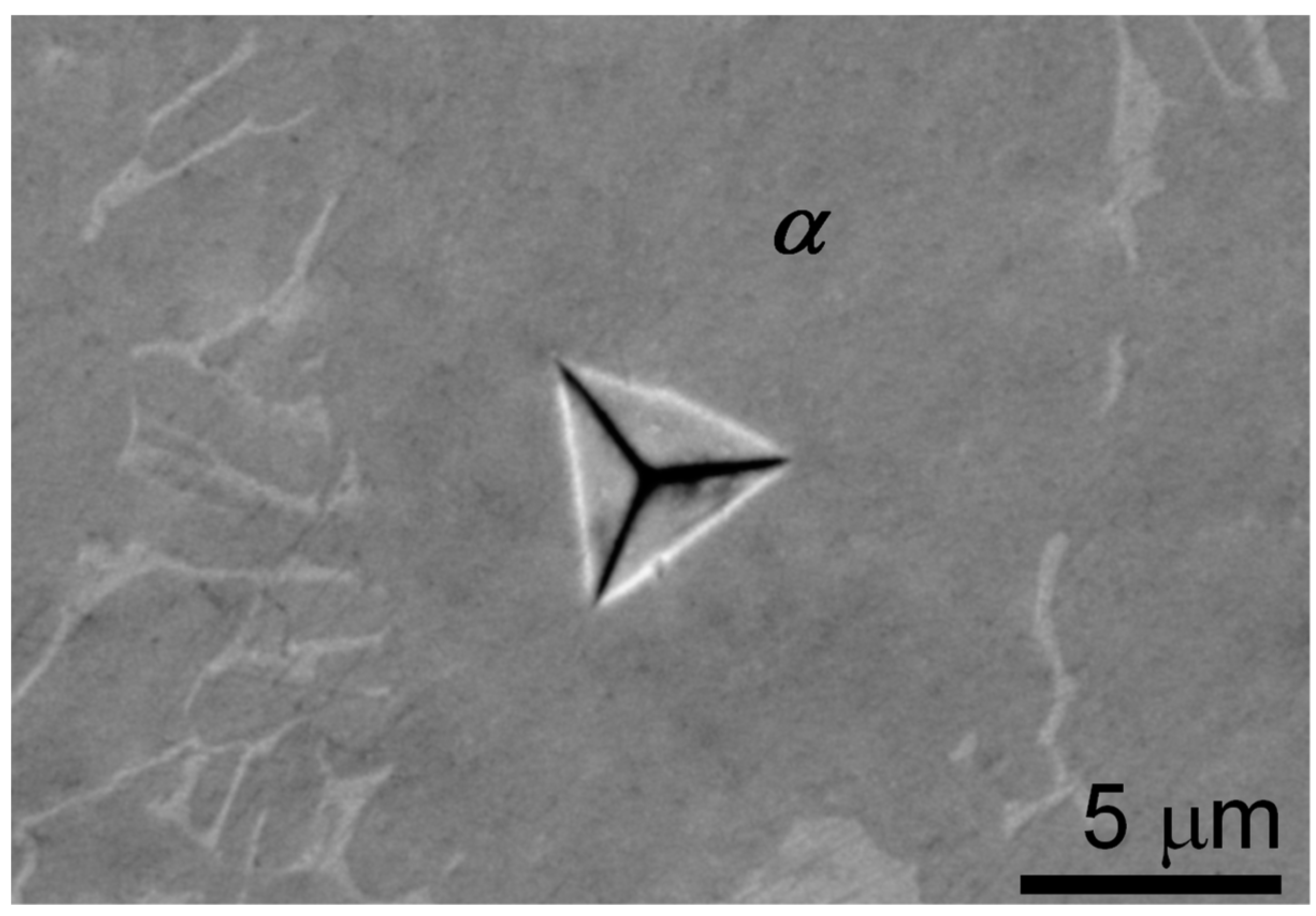 Metals 11 00104 g012