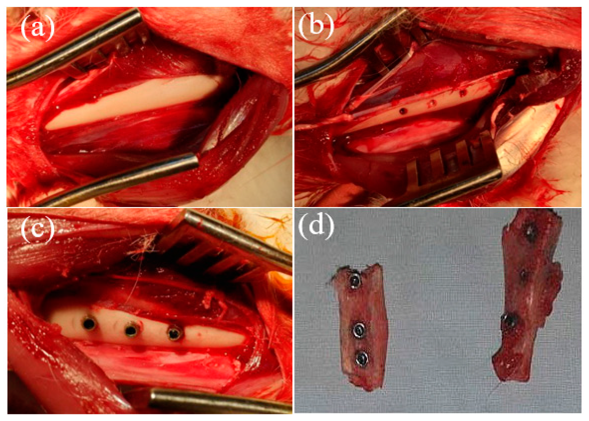 Metals 11 00106 g001