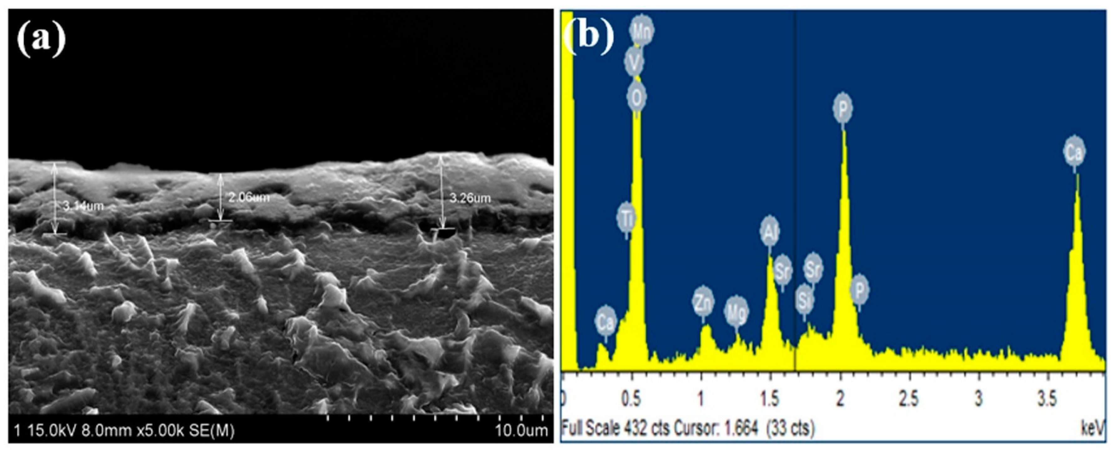 Metals 11 00106 g004