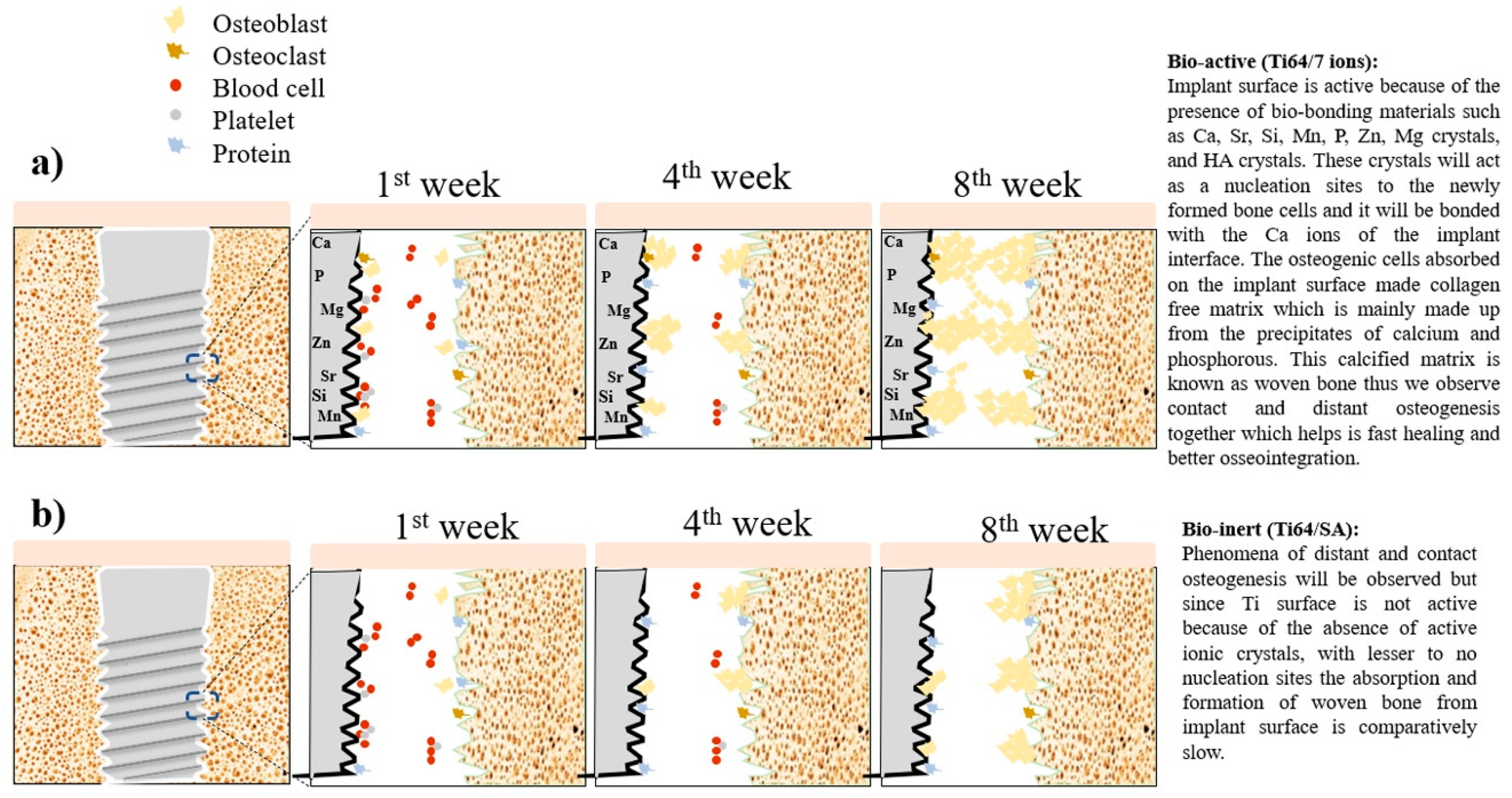 Metals 11 00106 g008