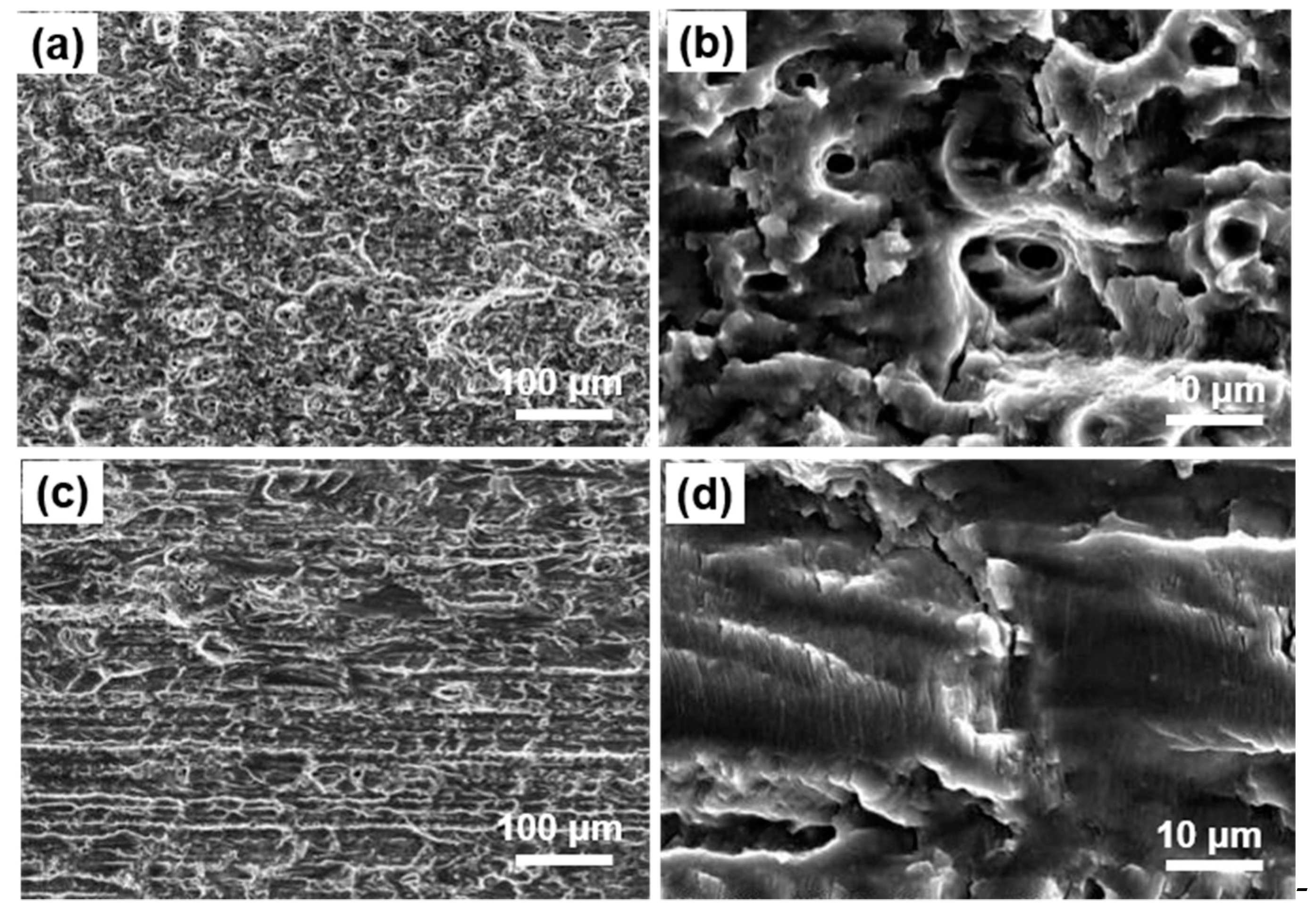 Metals 11 00110 g007