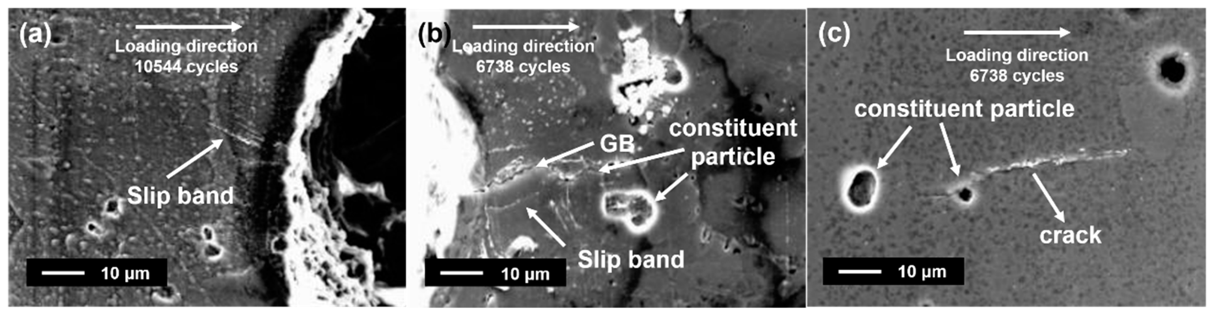 Metals 11 00110 g011