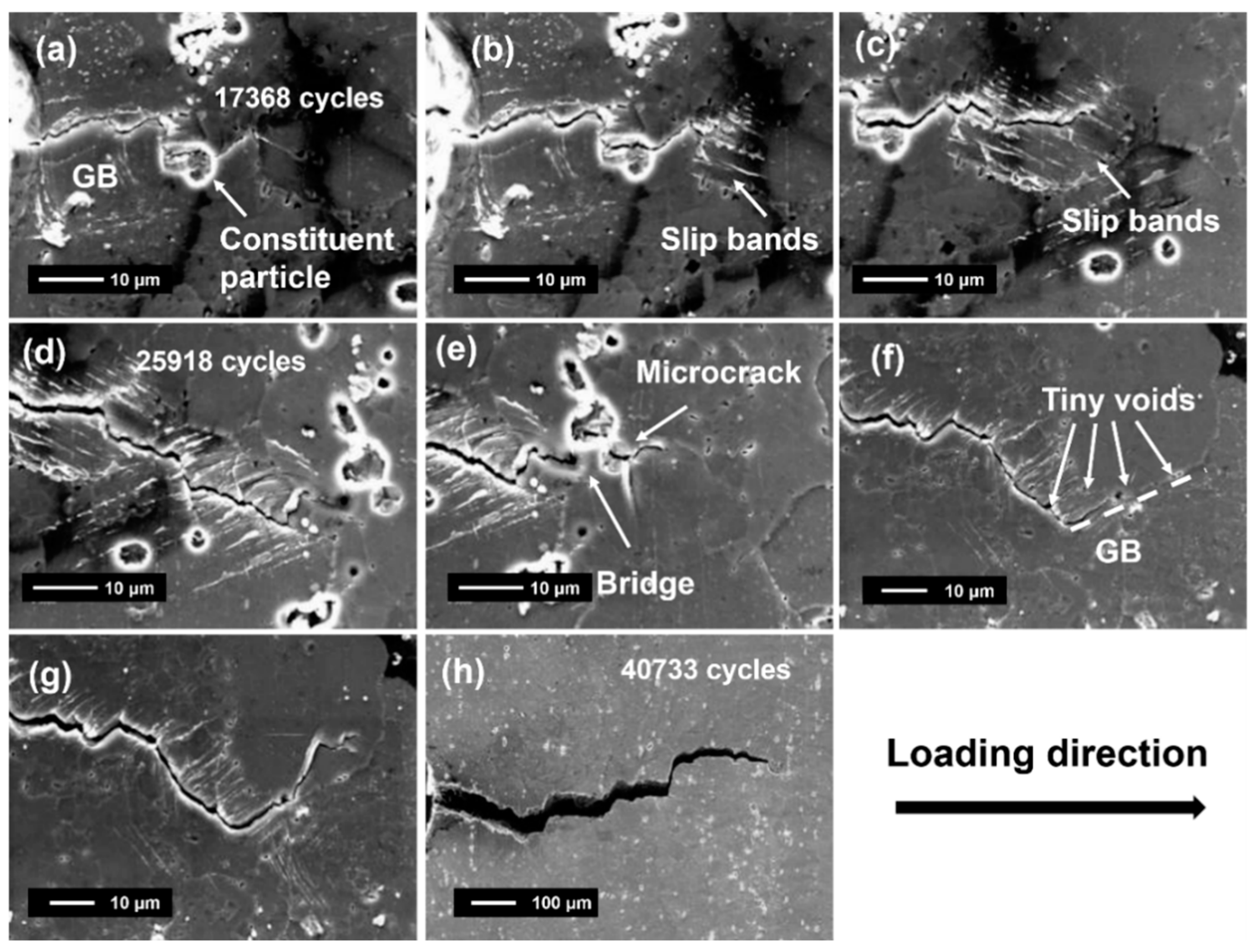 Metals 11 00110 g013