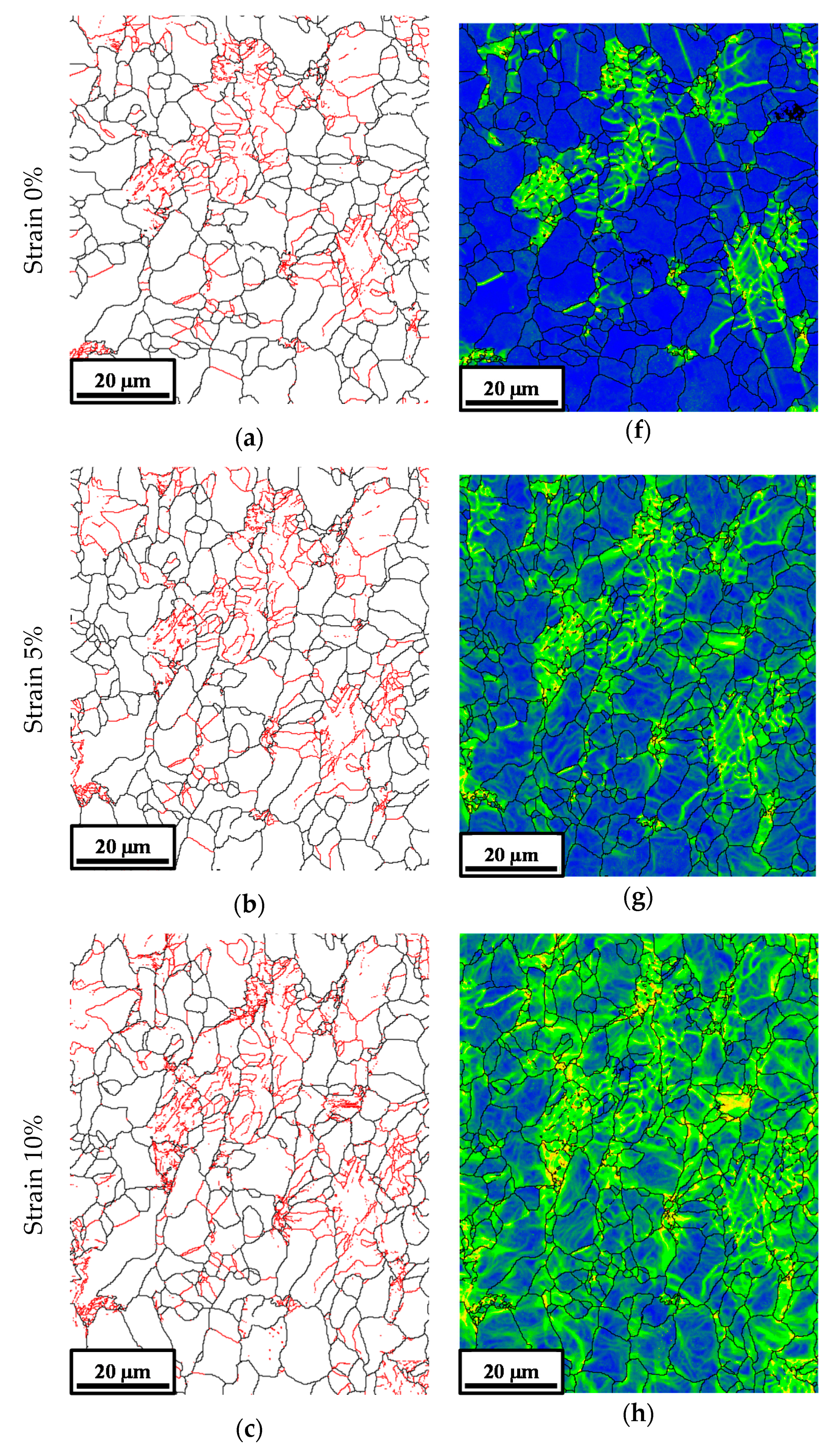 Metals 11 00112 g006a Metals 11 00112 g006a