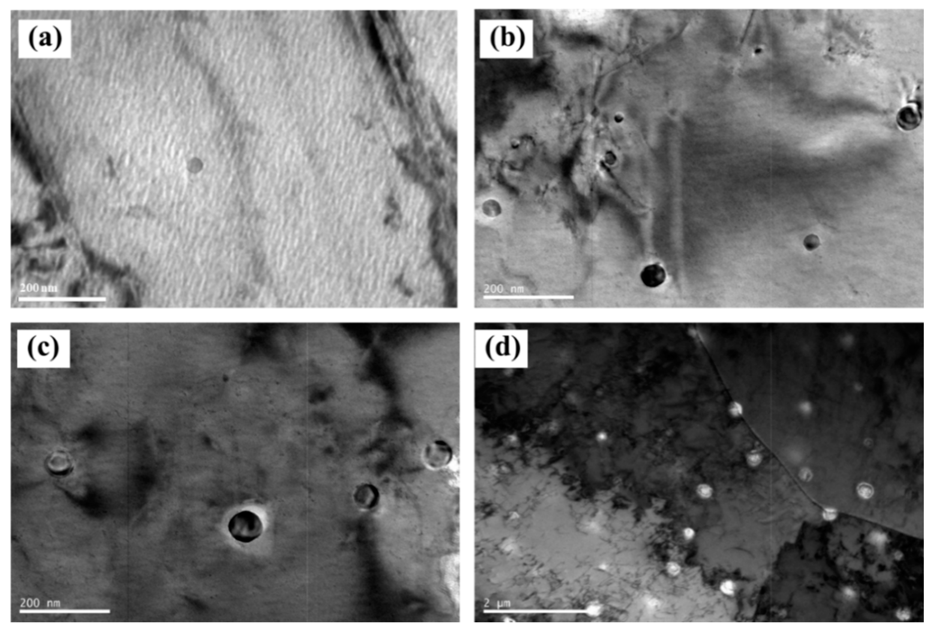 Metals 11 00126 g004 Metals 11 00126 g004