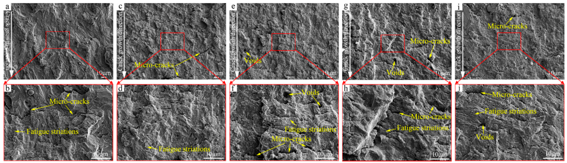 Metals 11 00133 g010
