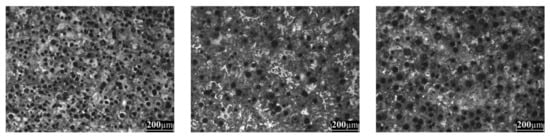 Metals 11 00146 g0a3b