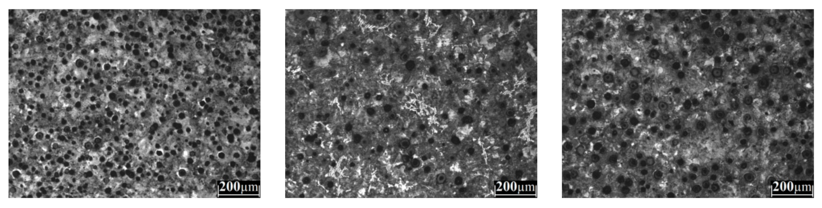 Metals 11 00146 g0a3b