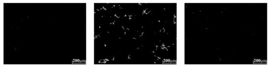 Metals 11 00146 g0a6b