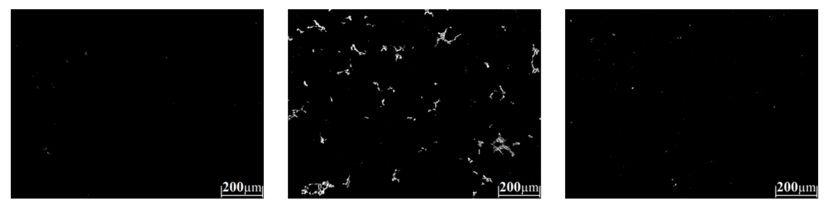 Metals 11 00146 g0a6b